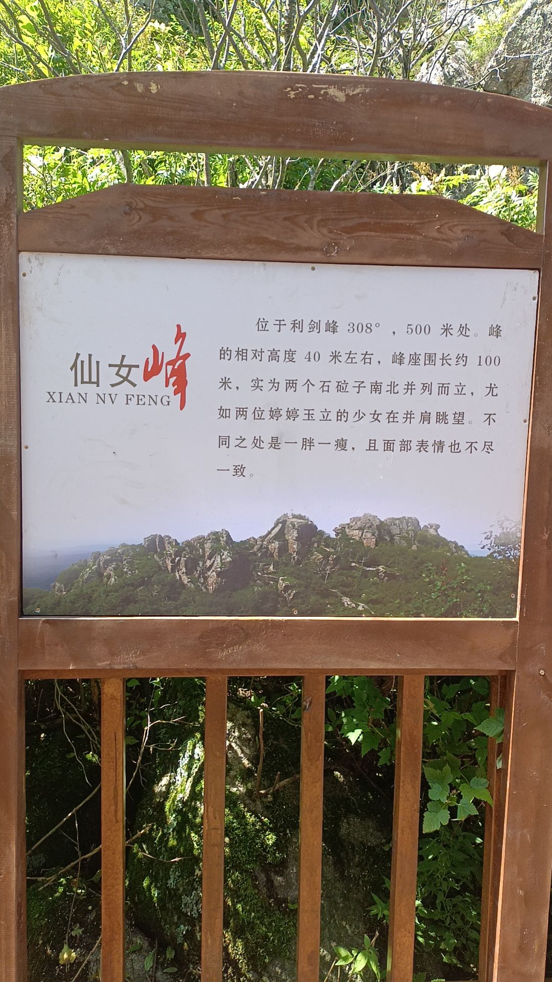 七星峰森林公园(暂停开放)旅行图片 2