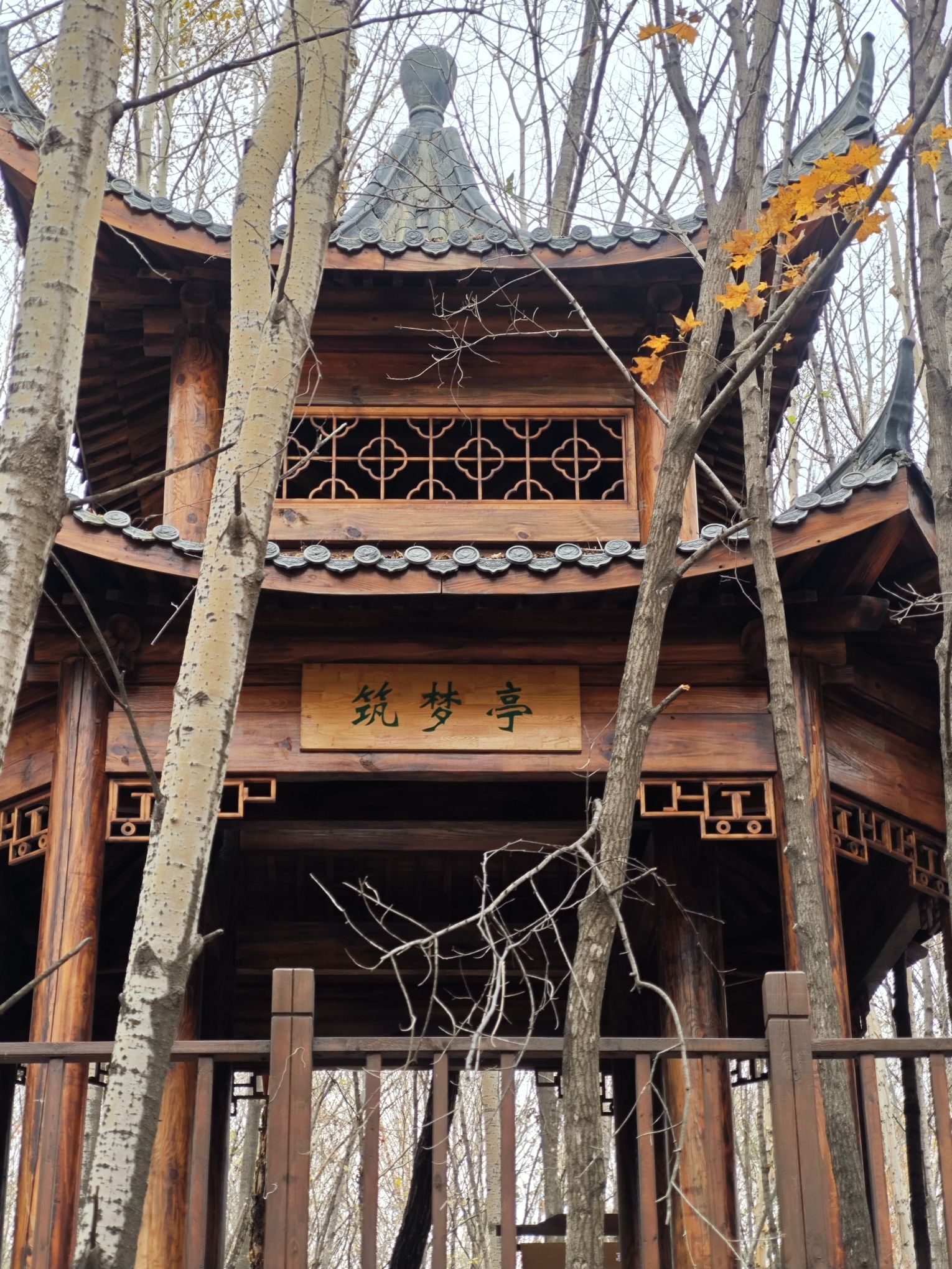 七星峰森林公园(暂停开放)旅行图片 2