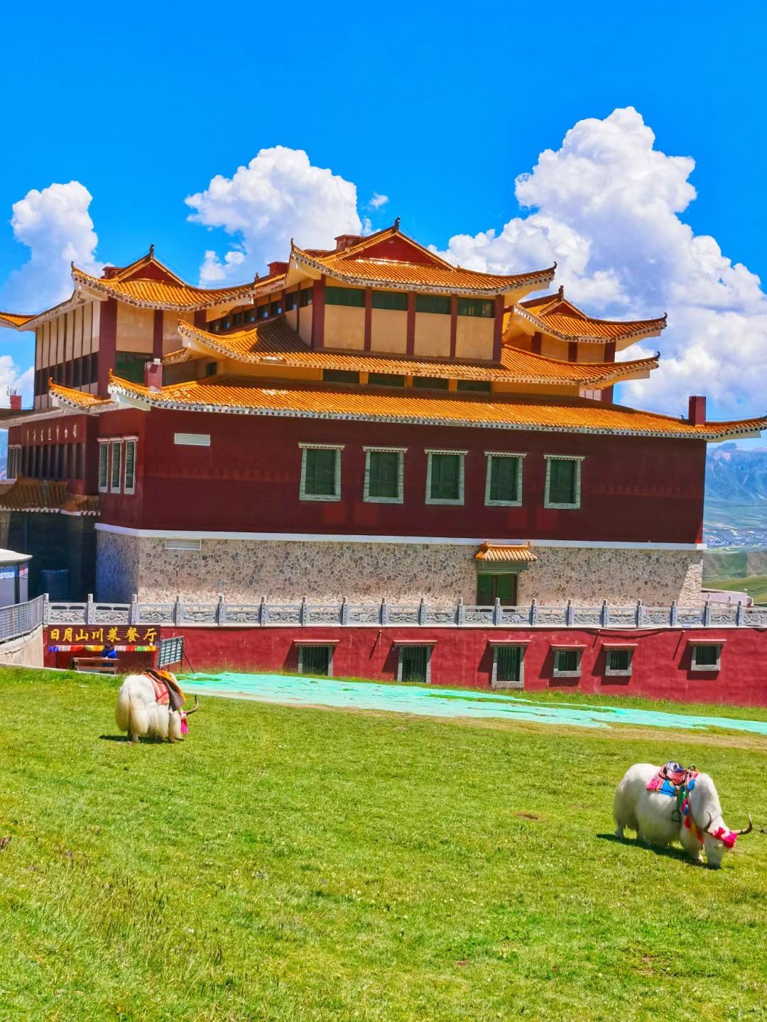 文成公主府遗址旅行图片 1
