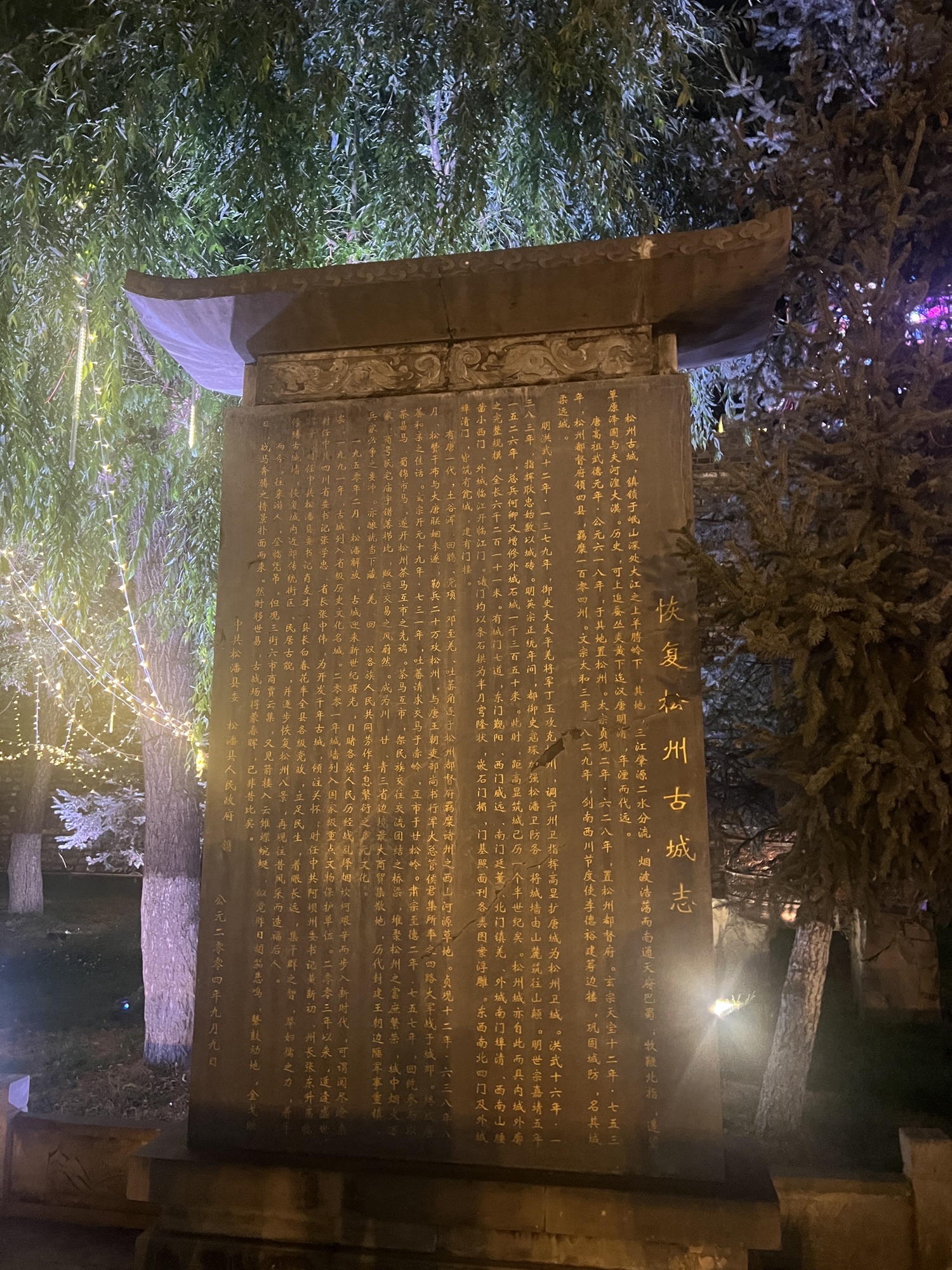 文成公主府遗址旅行图片 3