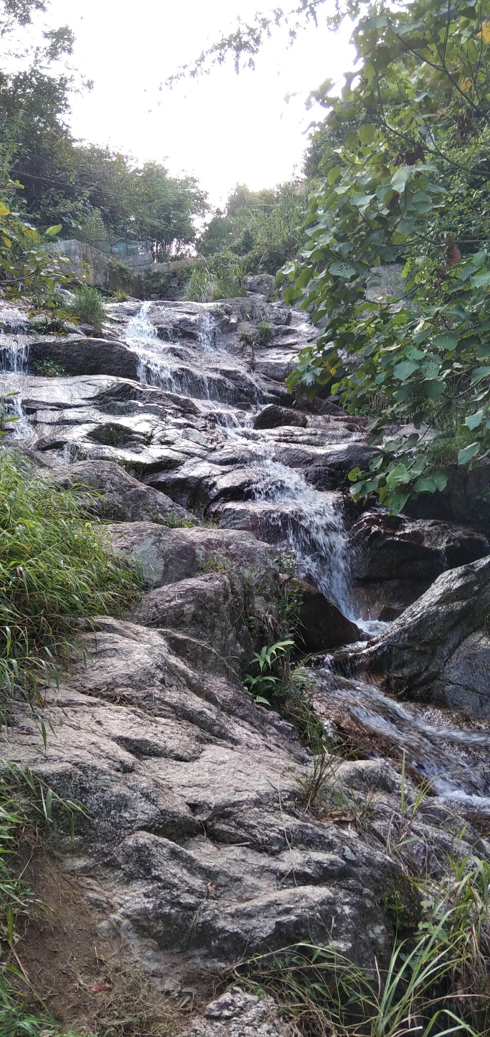 大垌角乡村旅游风景区旅行图片 1