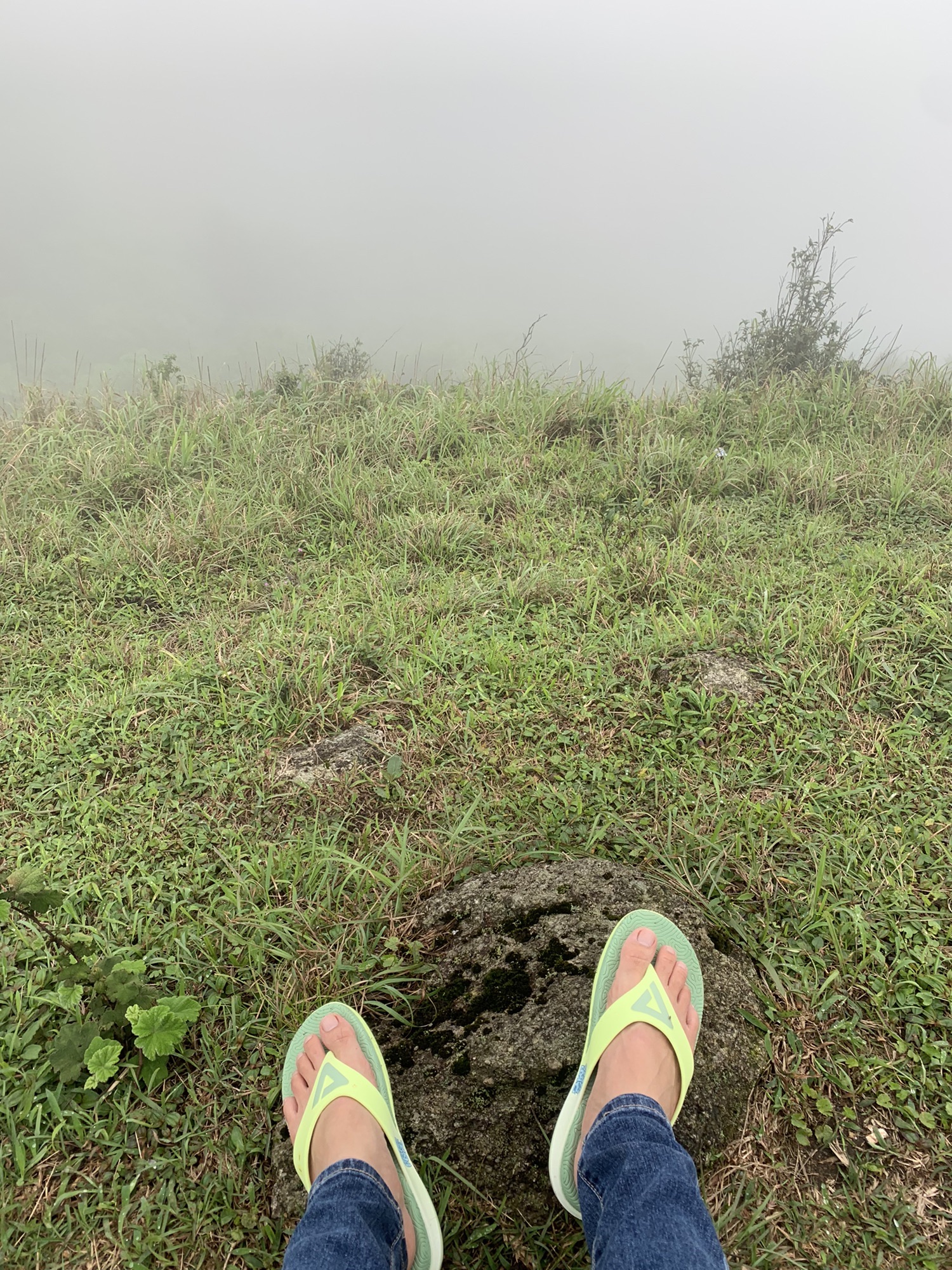 大垌角乡村旅游风景区旅行图片 1