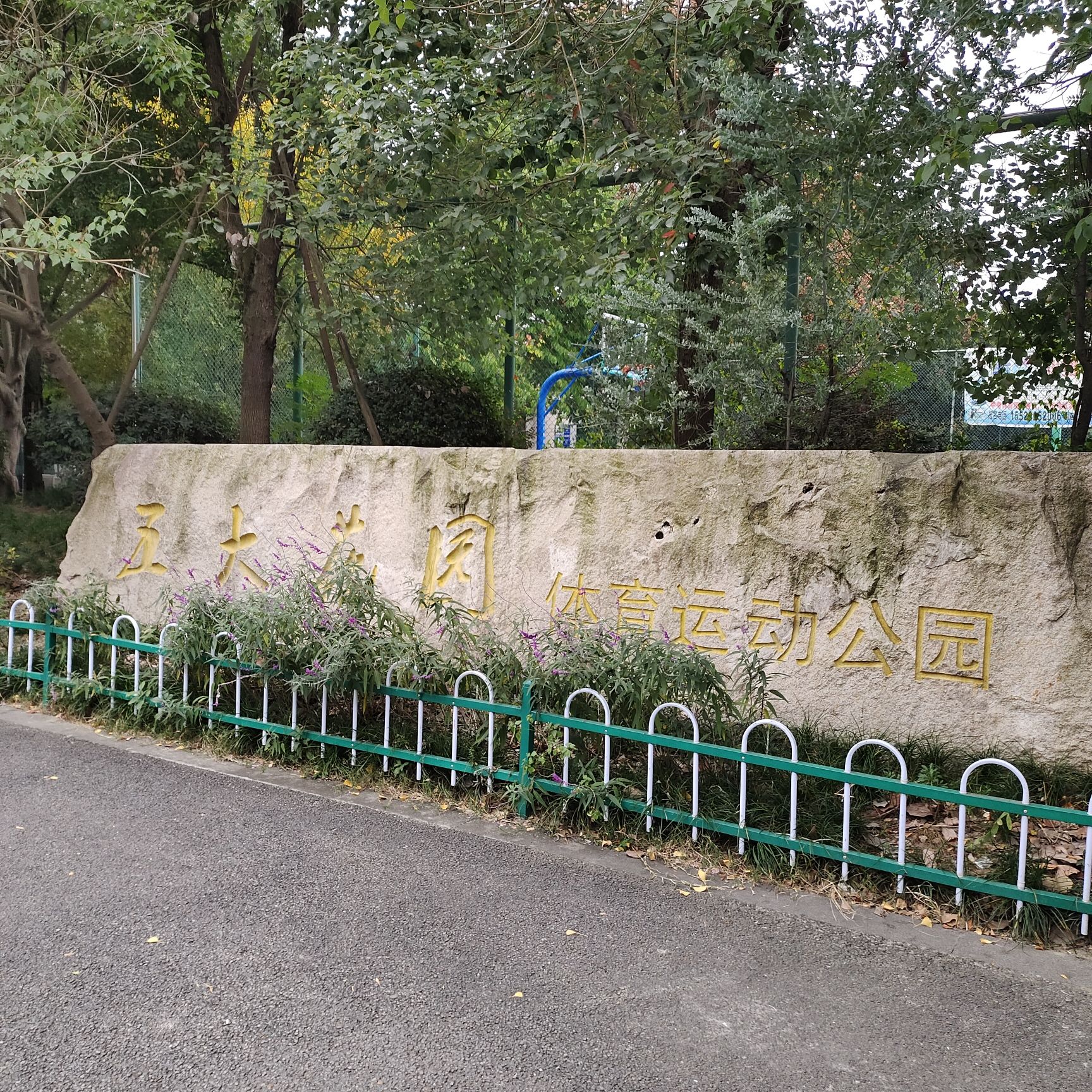 五大花园体育运动公园旅行图片 1