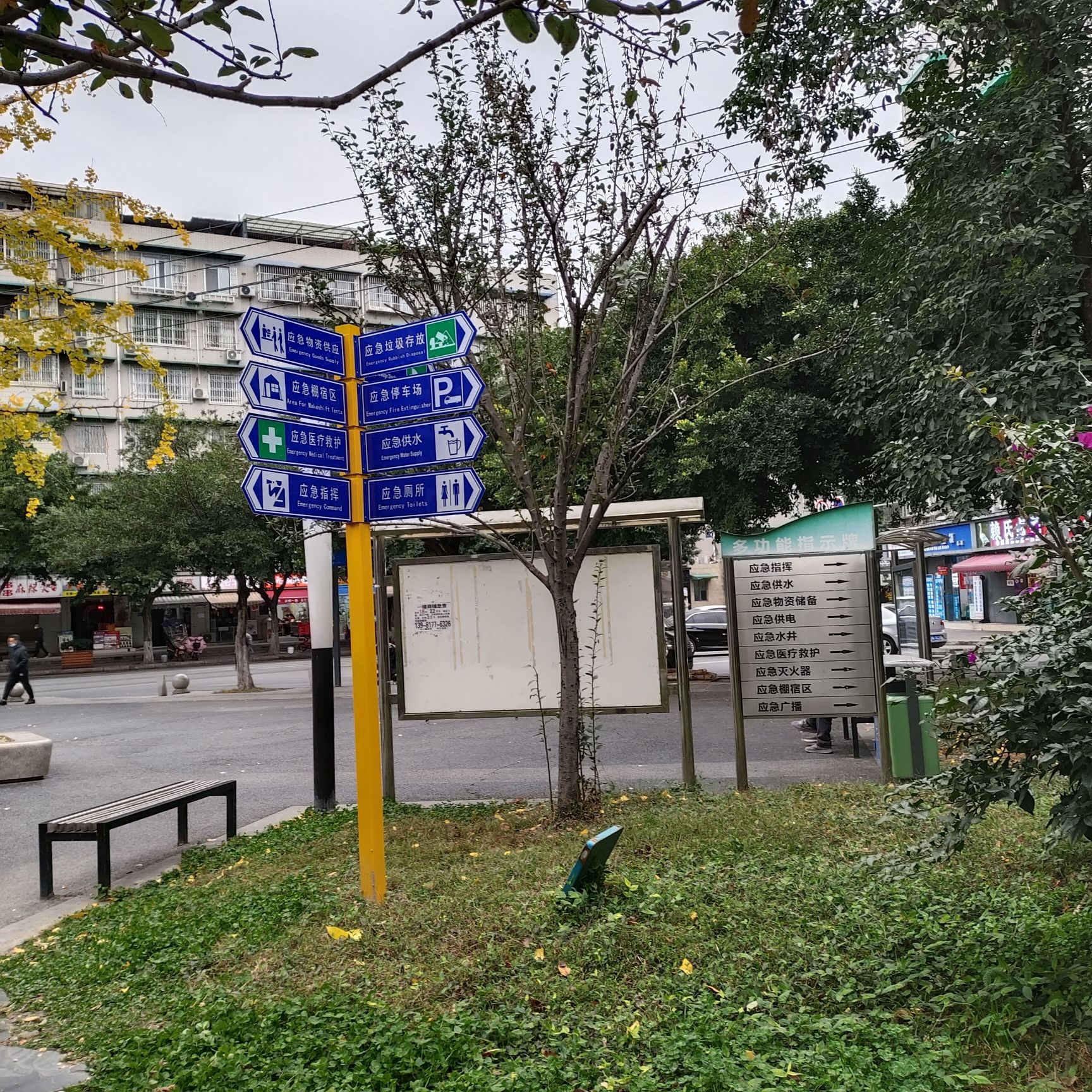 五大花园体育运动公园旅行图片 2