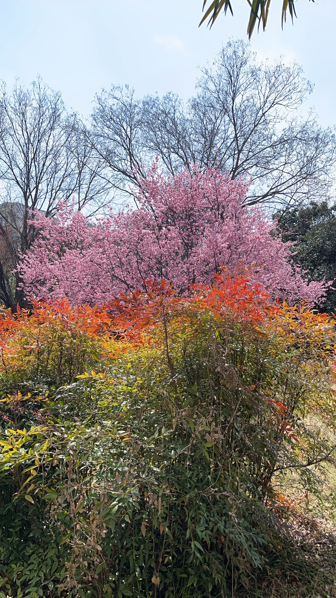 河南工业大学漯河工学院