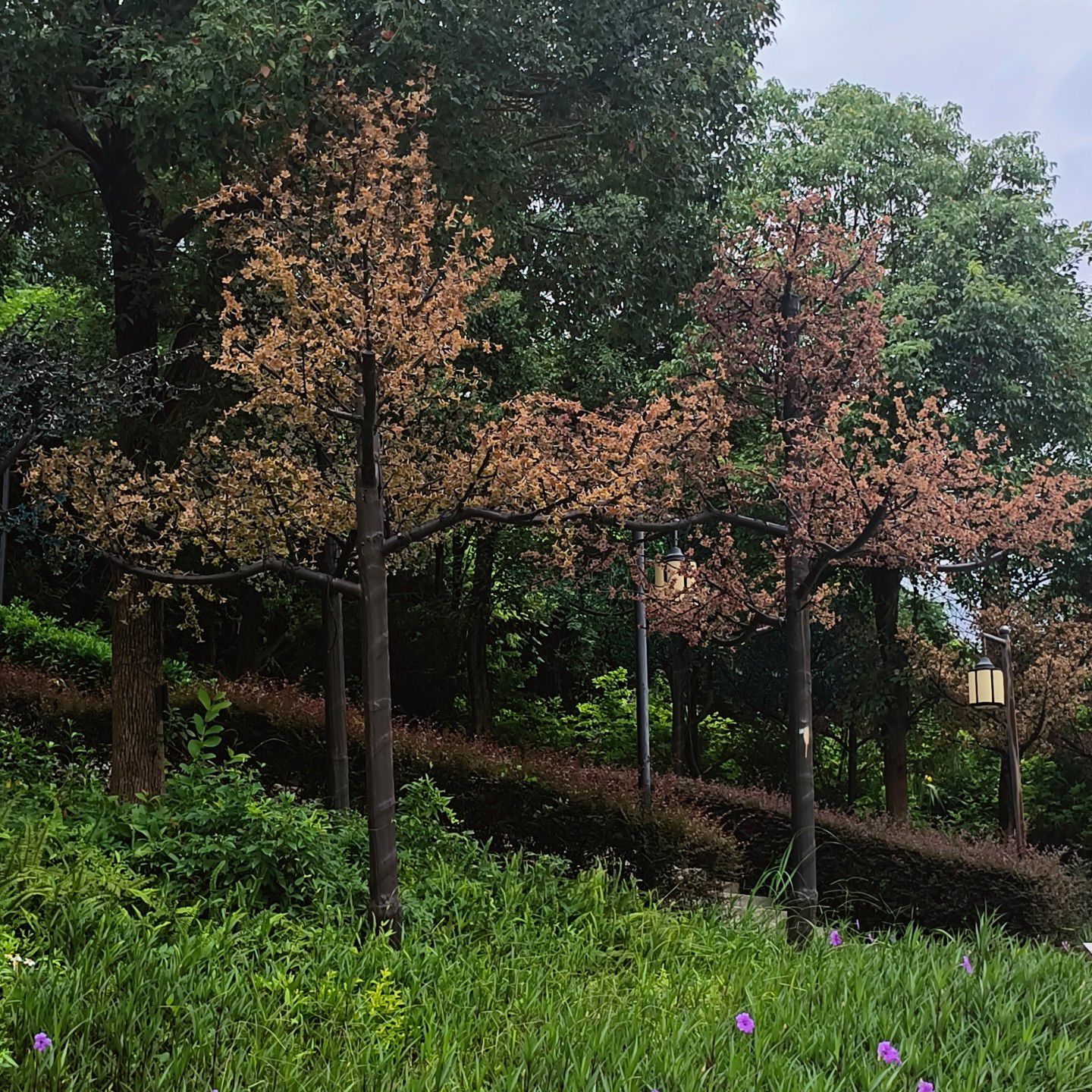 马鞍山公园旅行图片 3