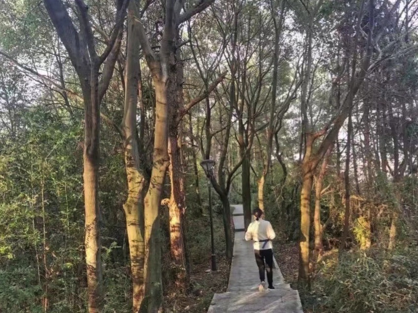 马鞍山公园旅行图片 1