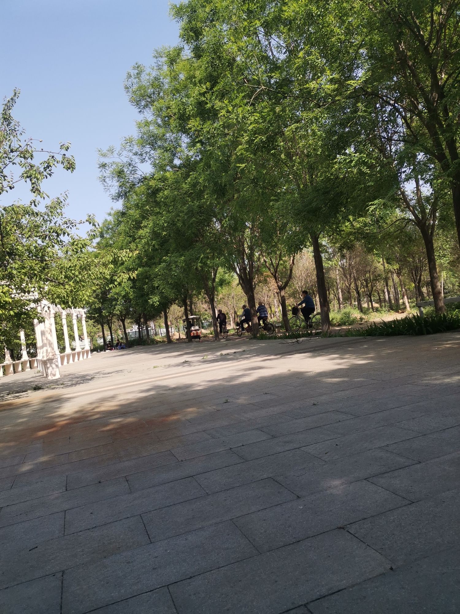 赵州桥森林公园旅行图片 2