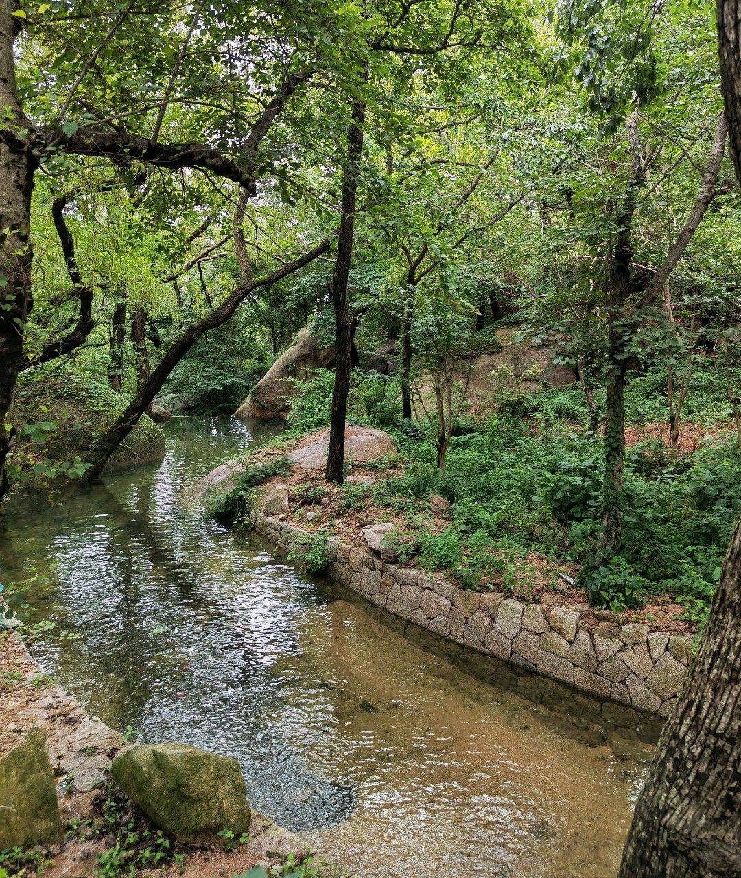 赵州桥森林公园旅行图片 1