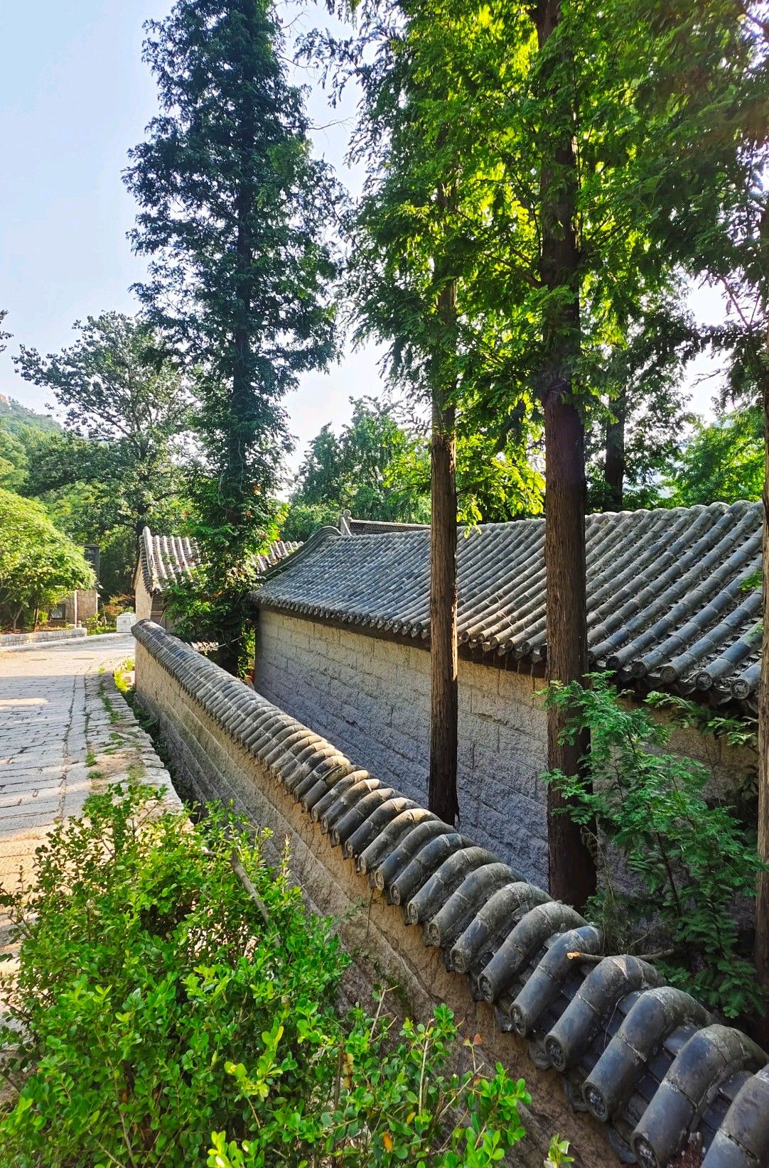 赵州桥森林公园旅行图片 2