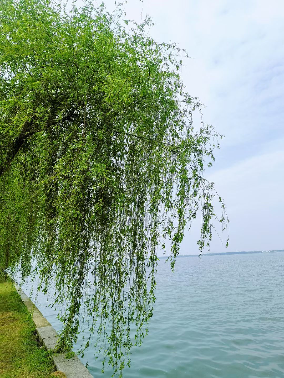 阳澄湖半岛旅游度假旅行图片 2