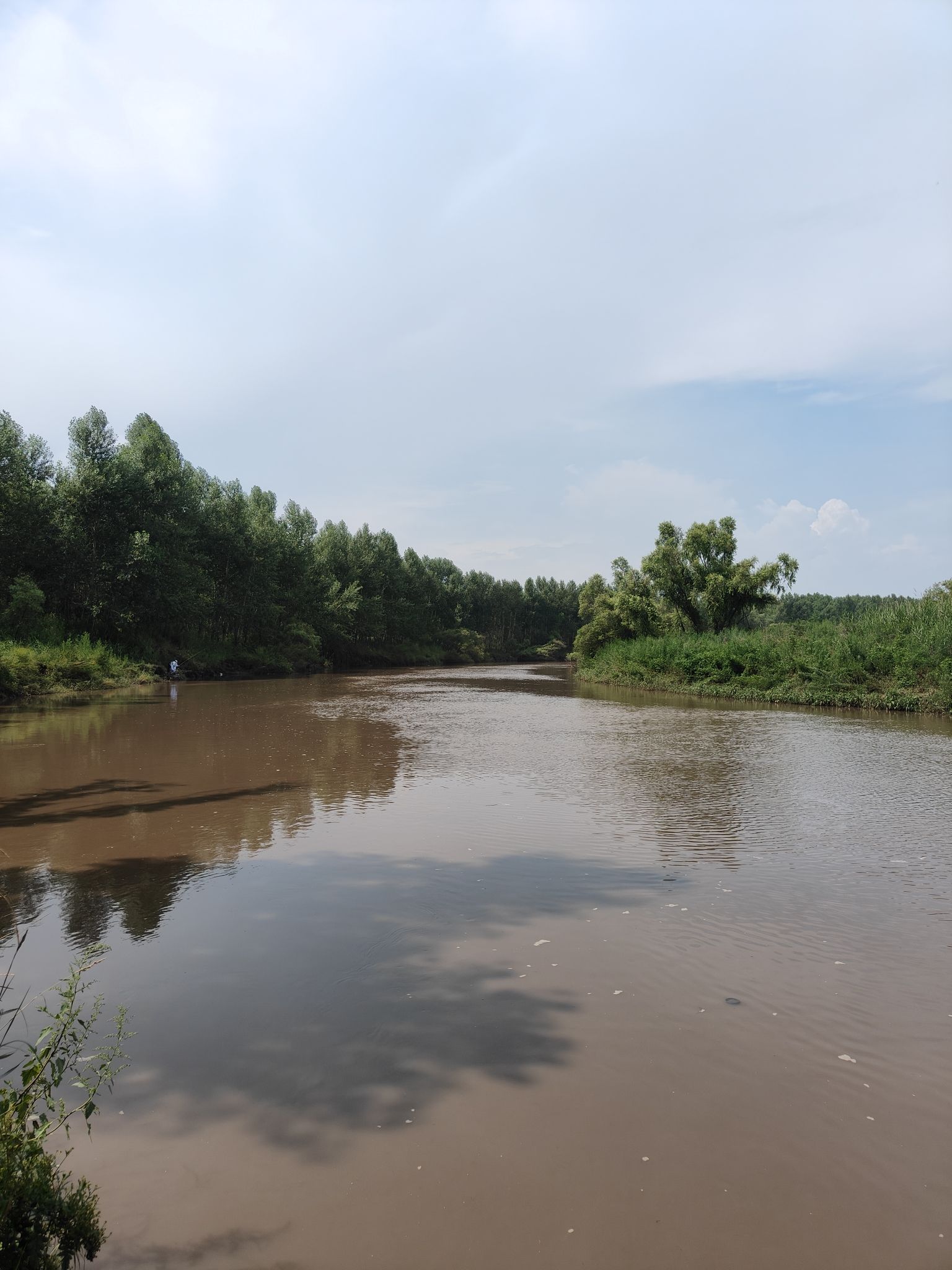 阿什河国家湿地公园(不对外开放)旅行图片 1