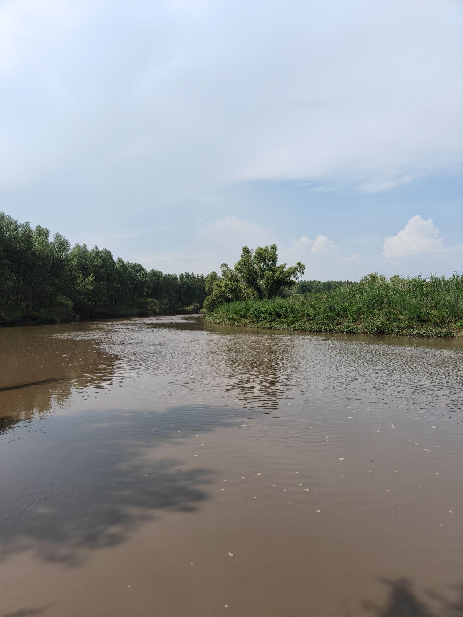 阿什河国家湿地公园(不对外开放)旅行图片 2