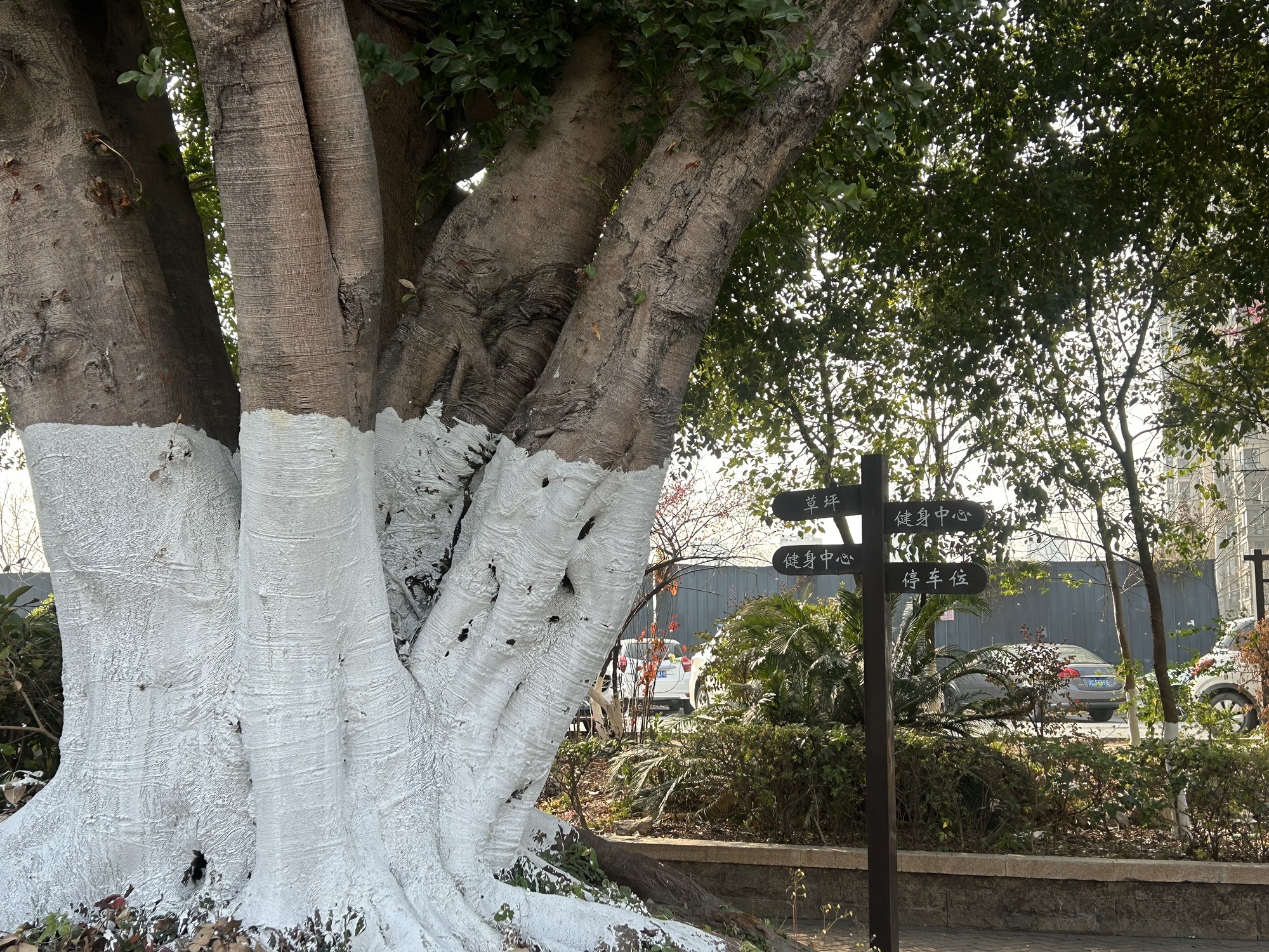塘河公园旅行图片 3