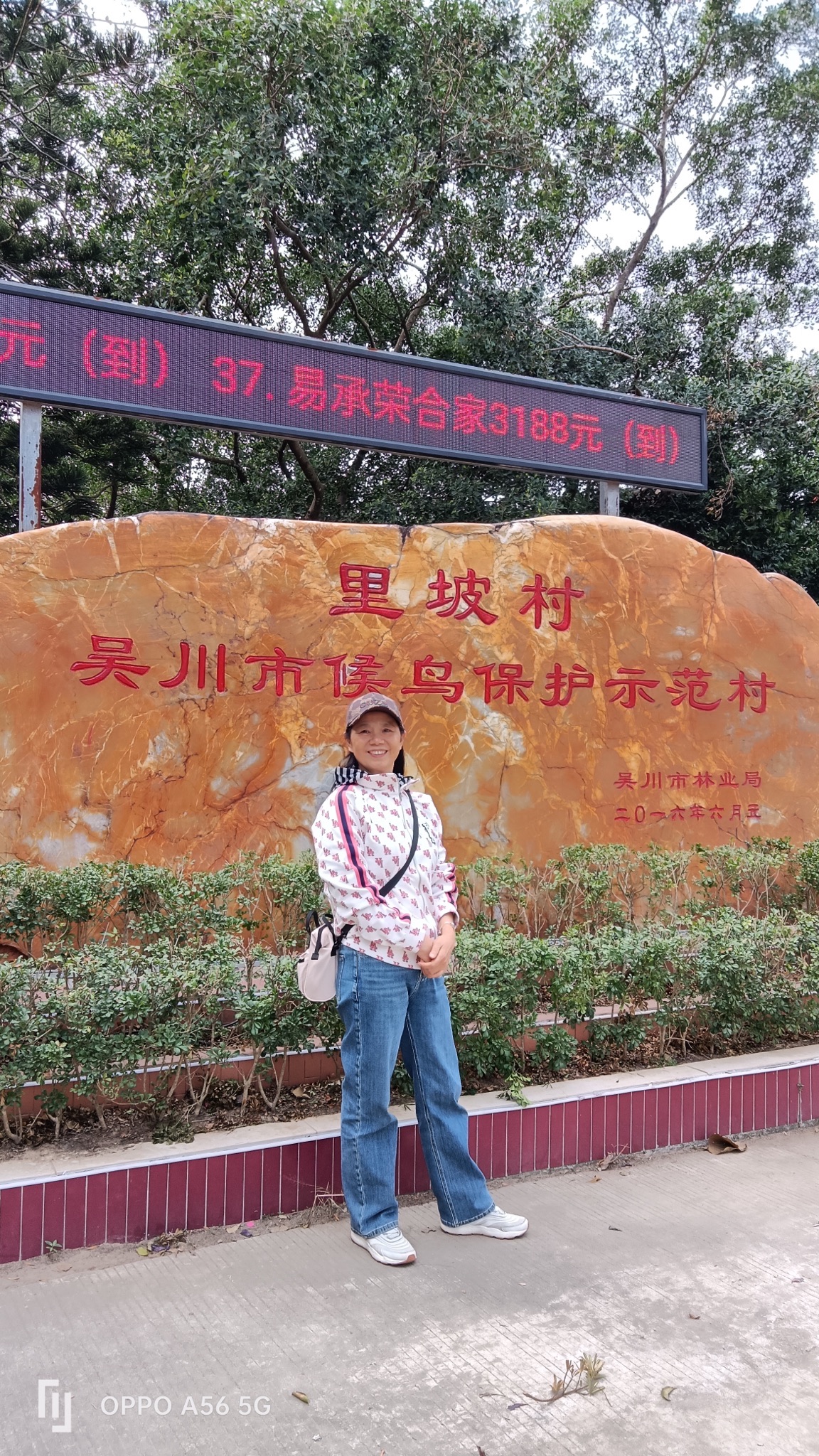 万鸟归巢旅行图片 1