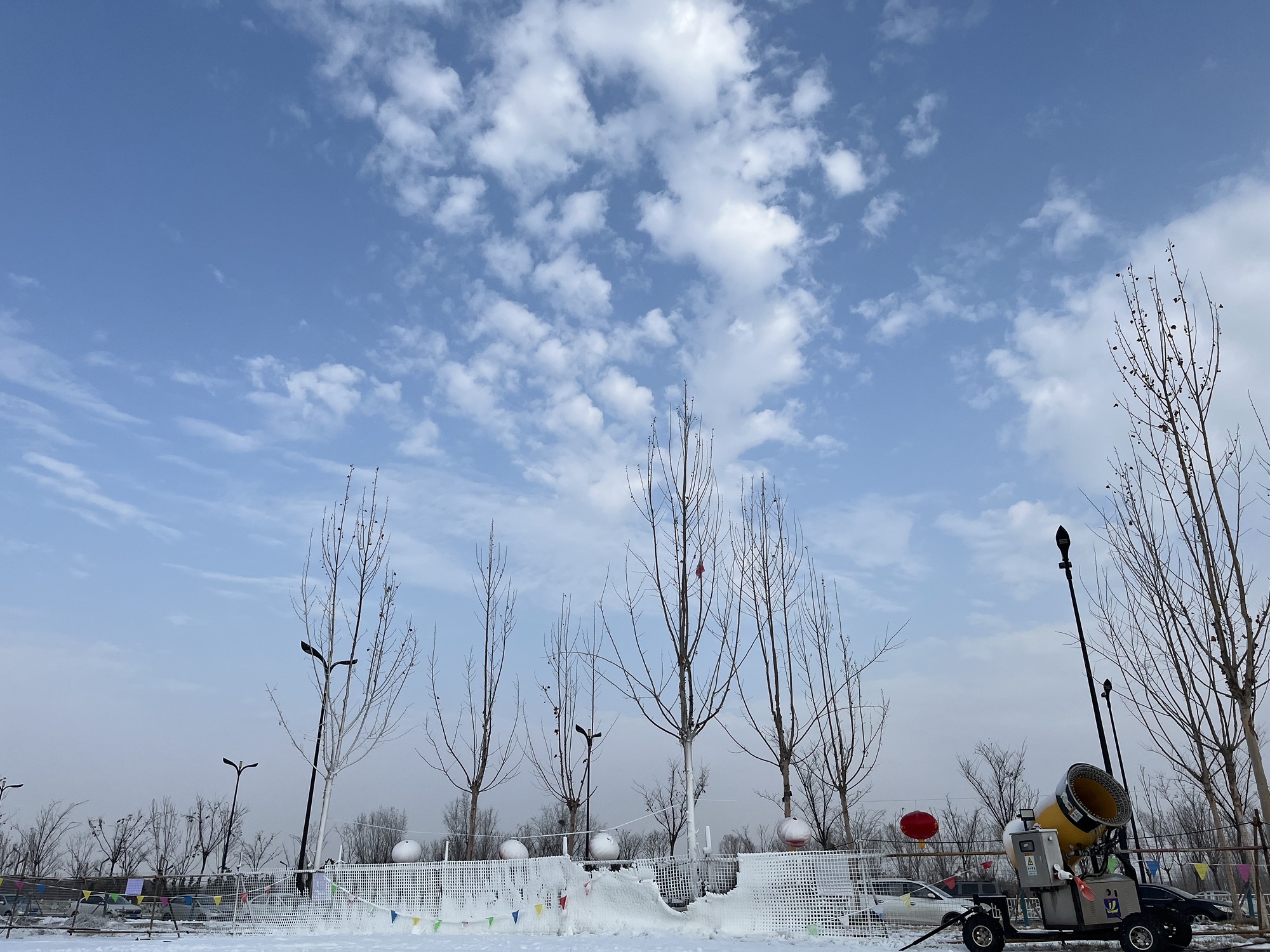 贝州湖公园旅行图片 1