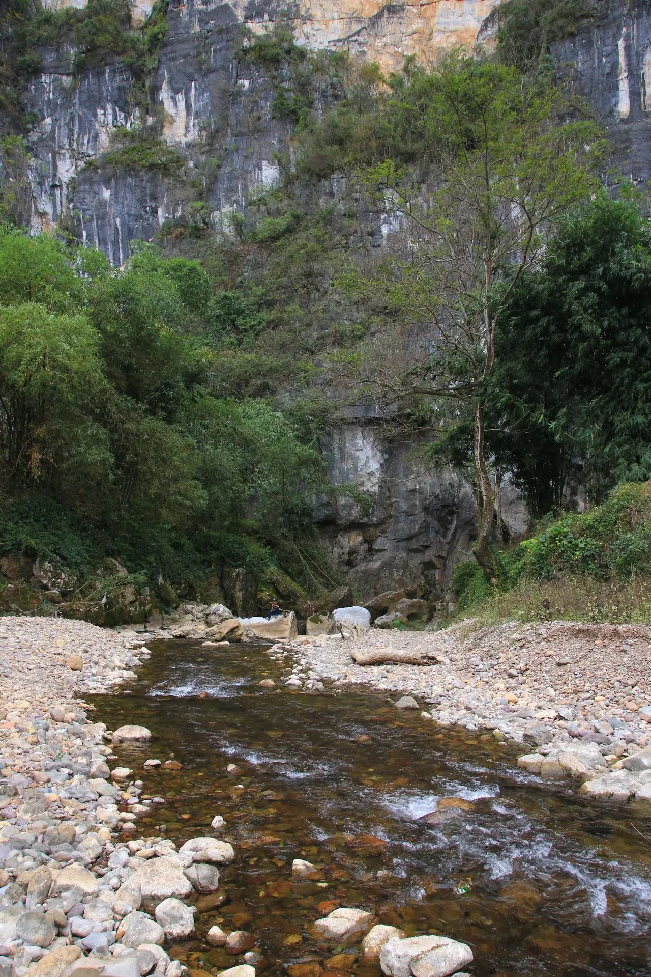 穿岩山国家森林公园景区旅行图片 3