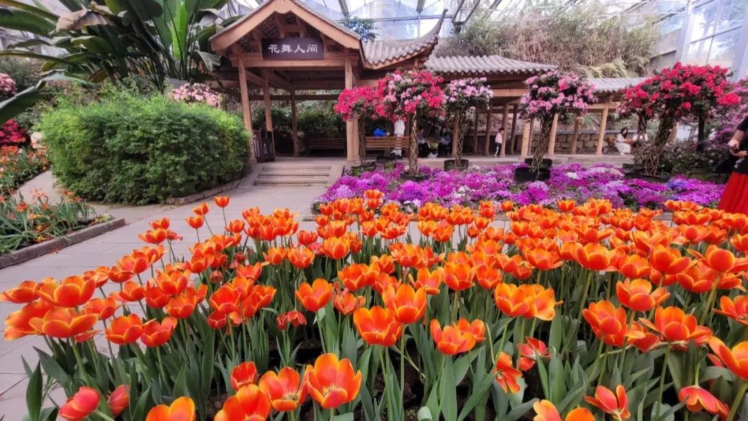 花舞人间景区旅行图片 2