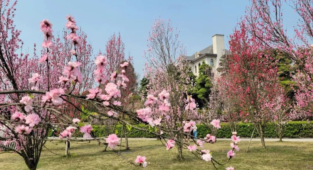 花舞人间景区旅行图片 1