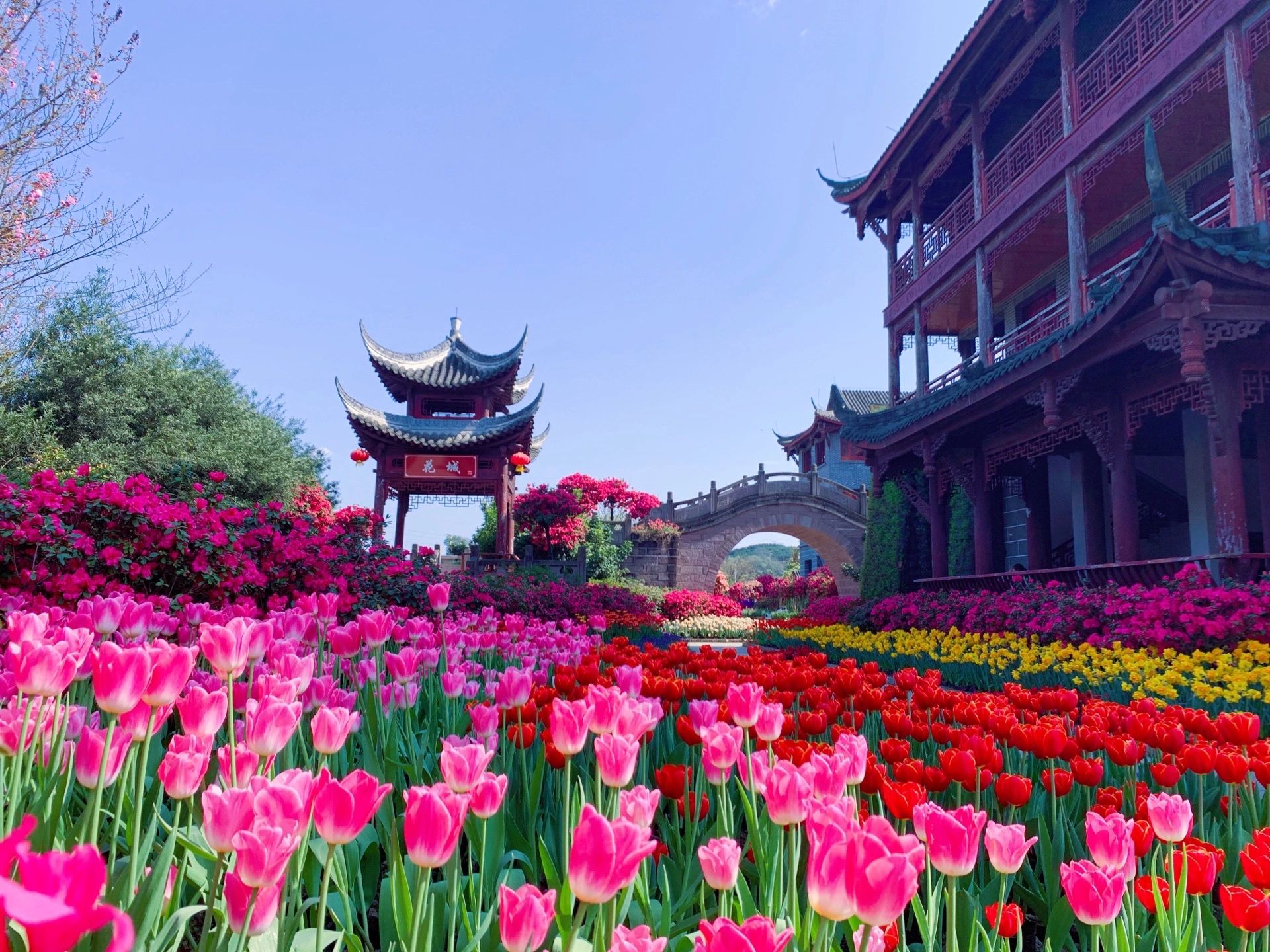 花舞人间景区旅行图片 3