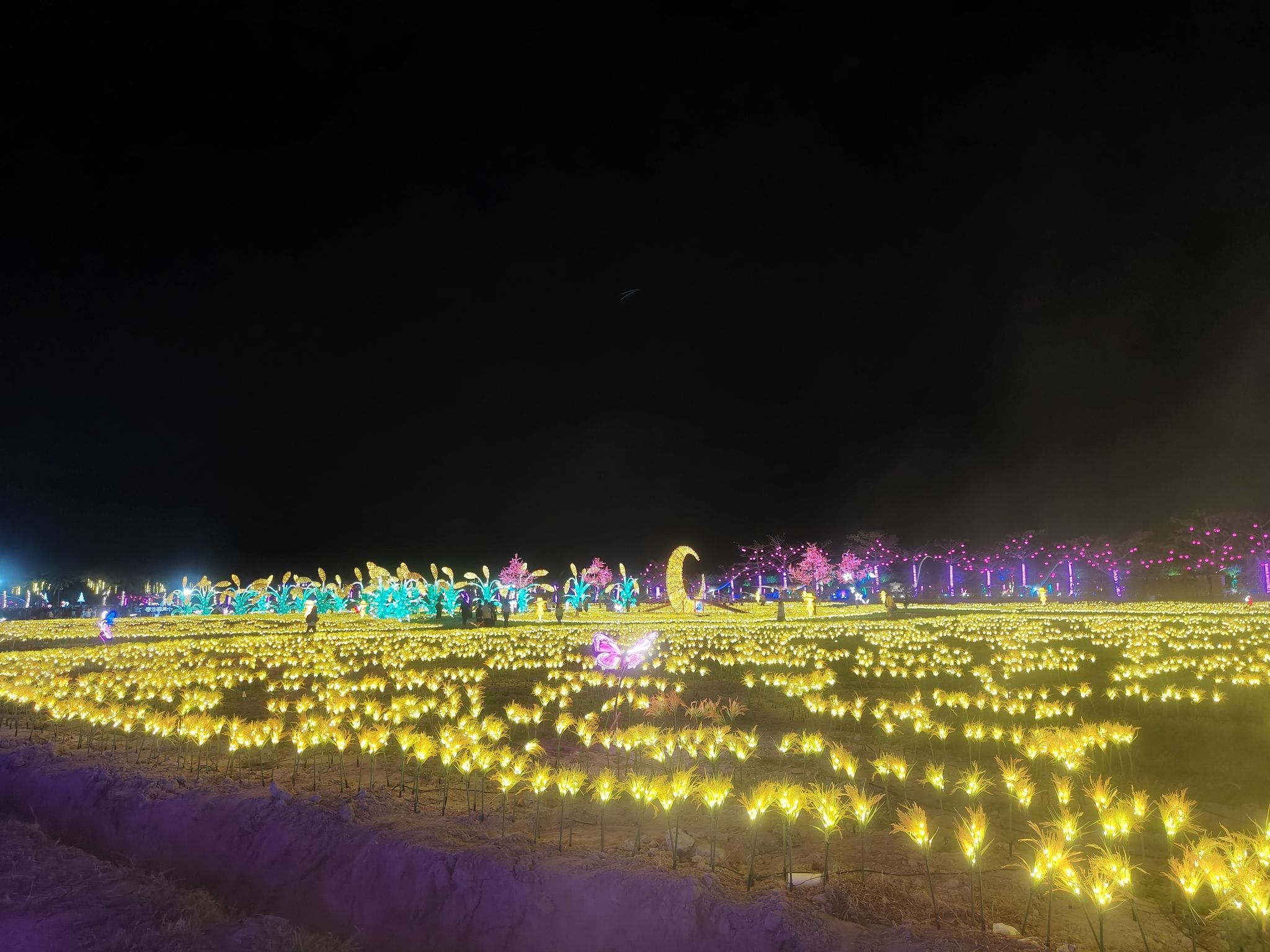 三亚水稻国家公园旅行图片 3