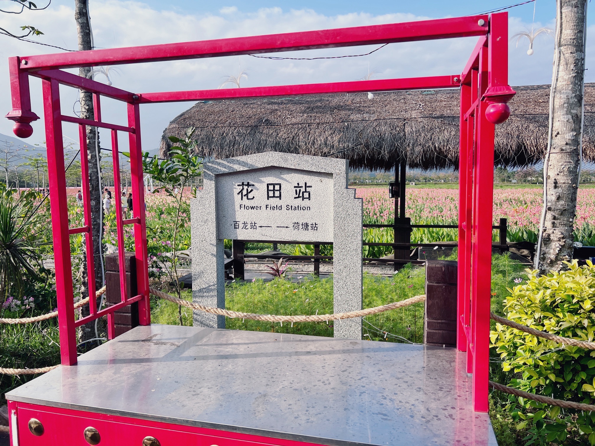 三亚水稻国家公园旅行图片 1