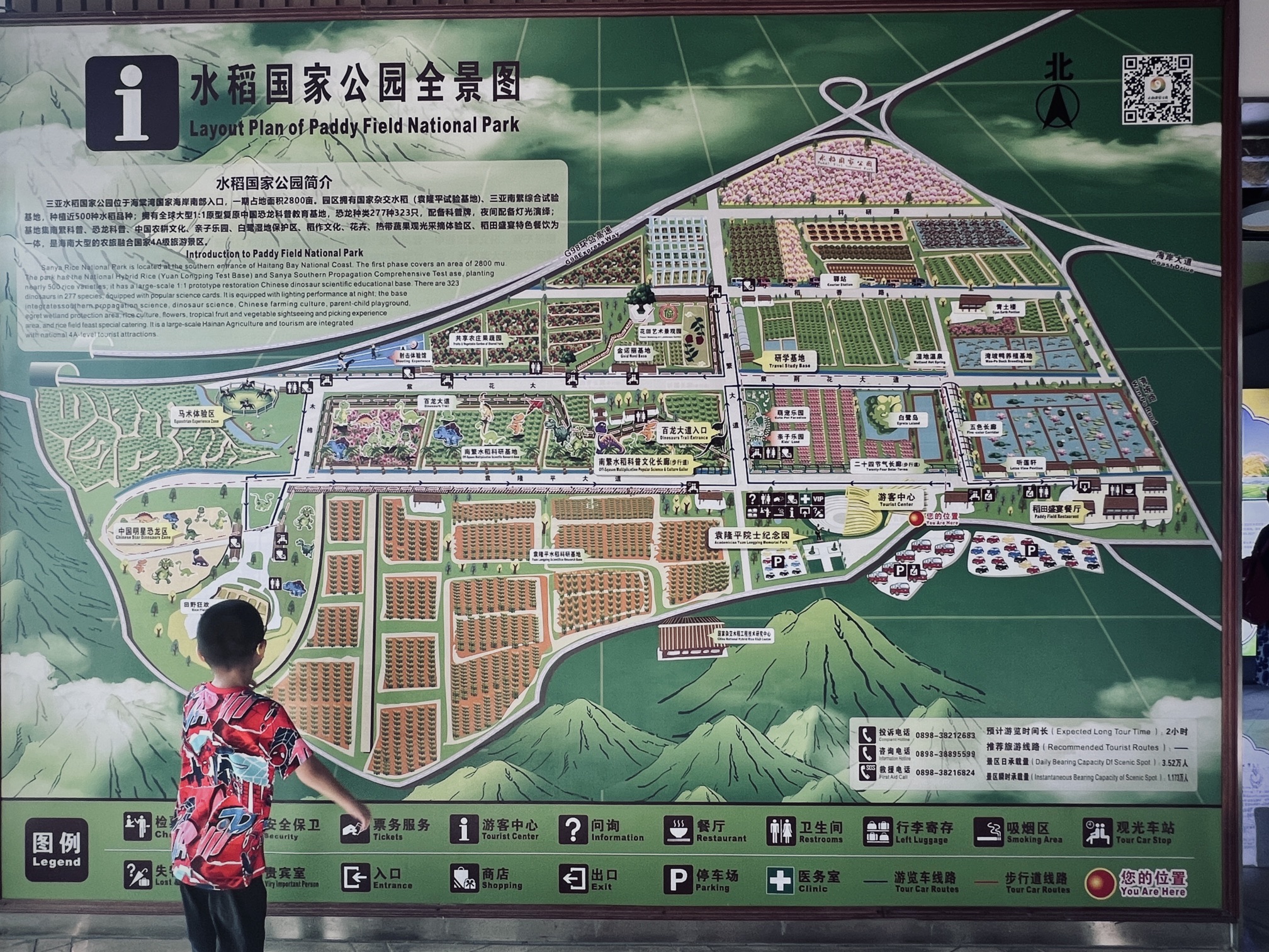 三亚水稻国家公园旅行图片 2
