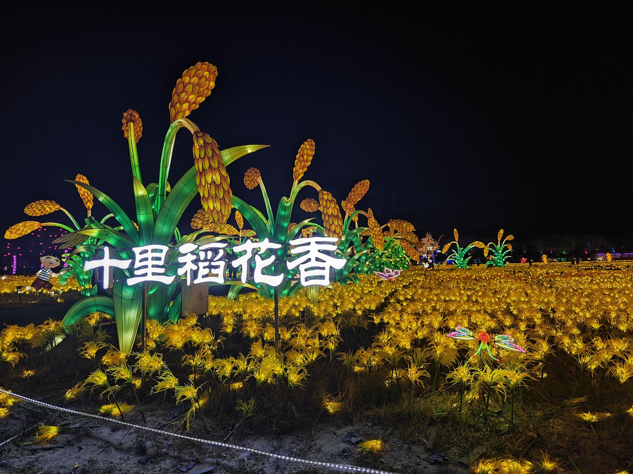 三亚水稻国家公园旅行图片 1