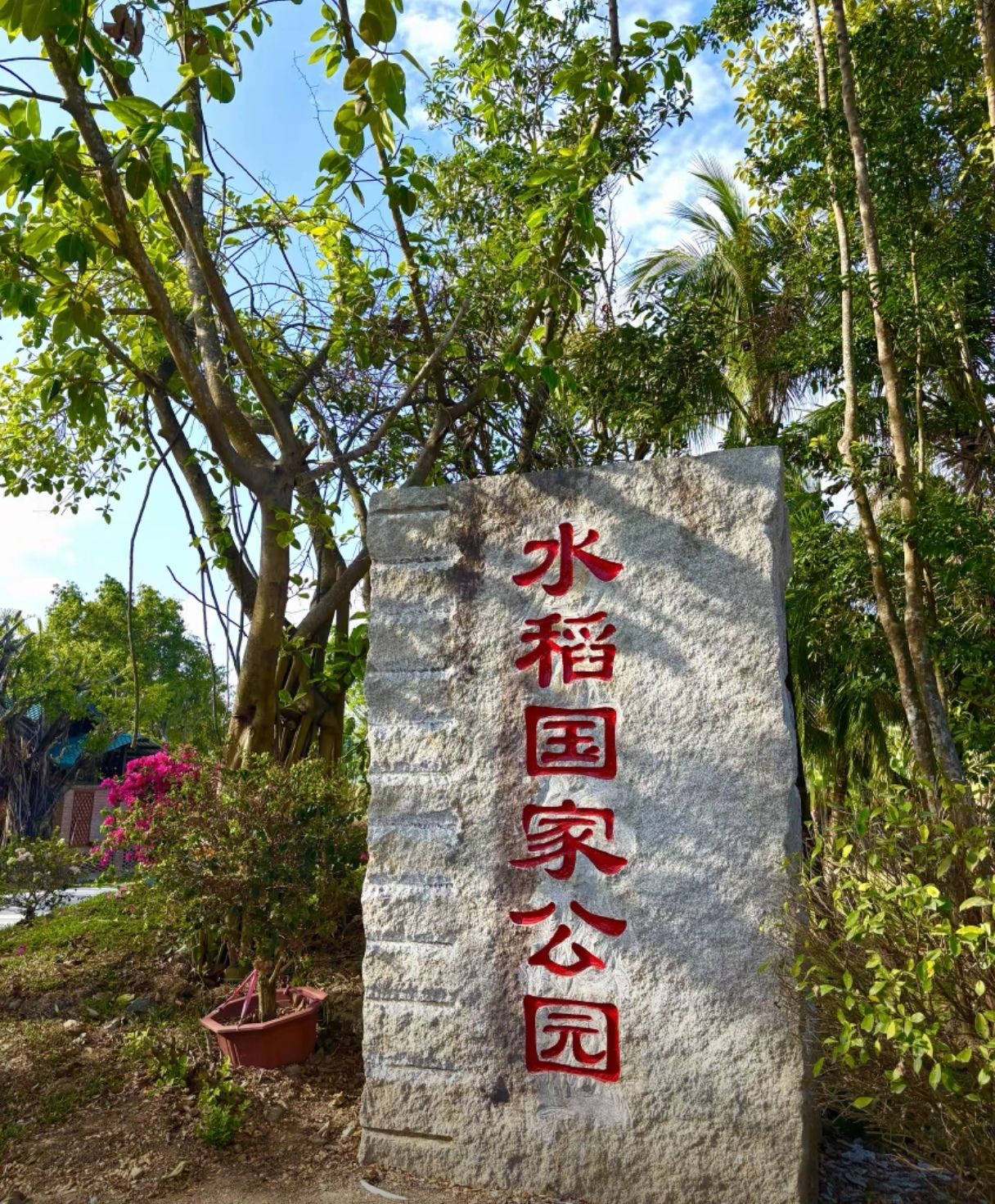三亚水稻国家公园