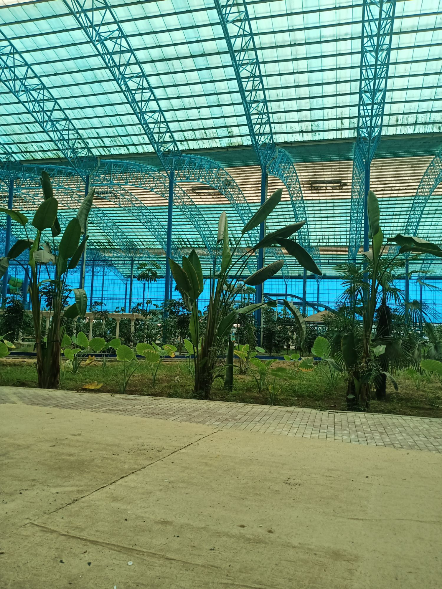 泥河湾温泉休闲度假苑旅行图片 2