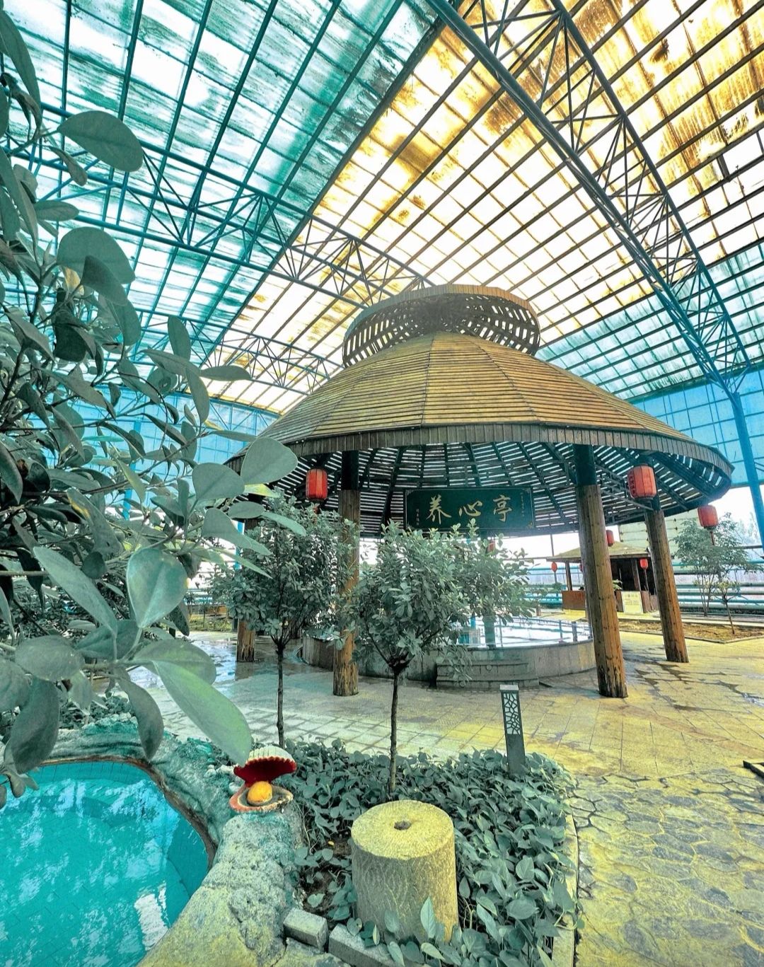泥河湾温泉休闲度假苑旅行图片 2