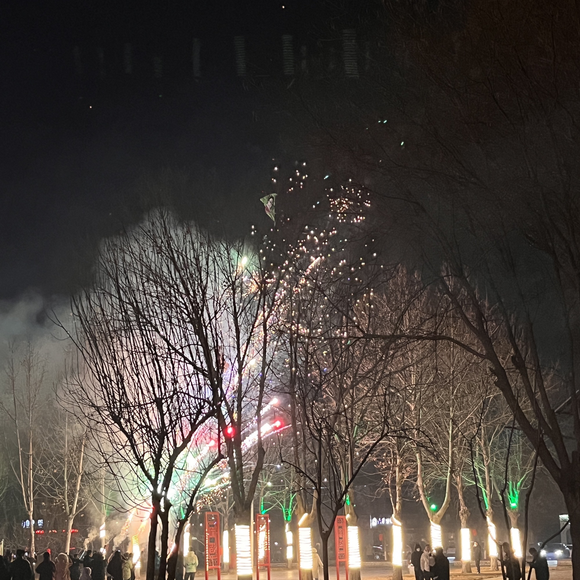 新世纪公园旅行图片 1