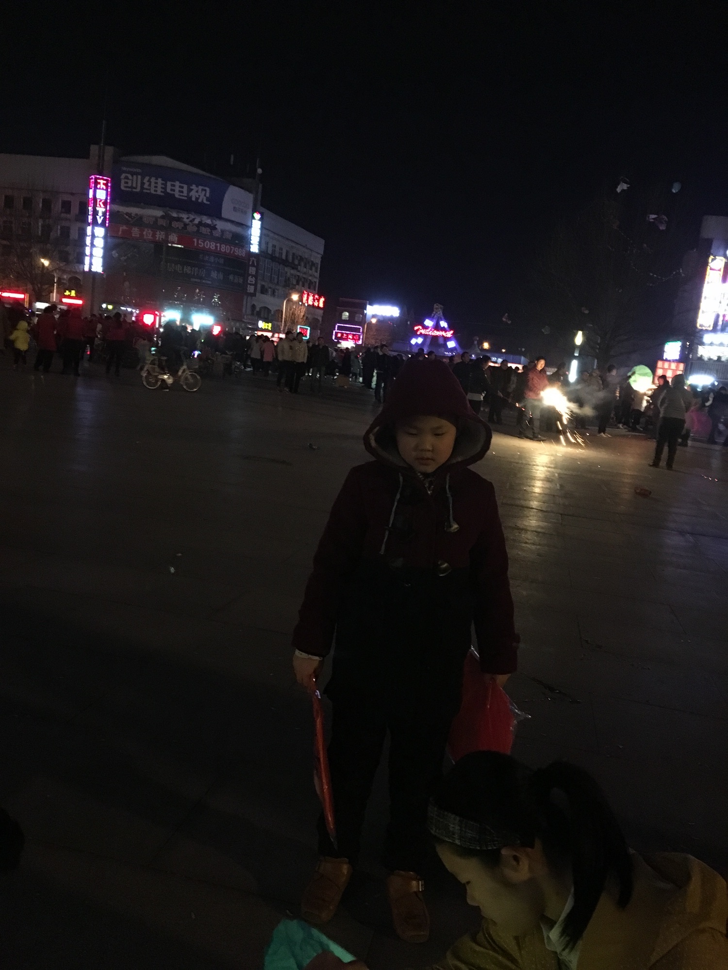 新世纪公园旅行图片 3