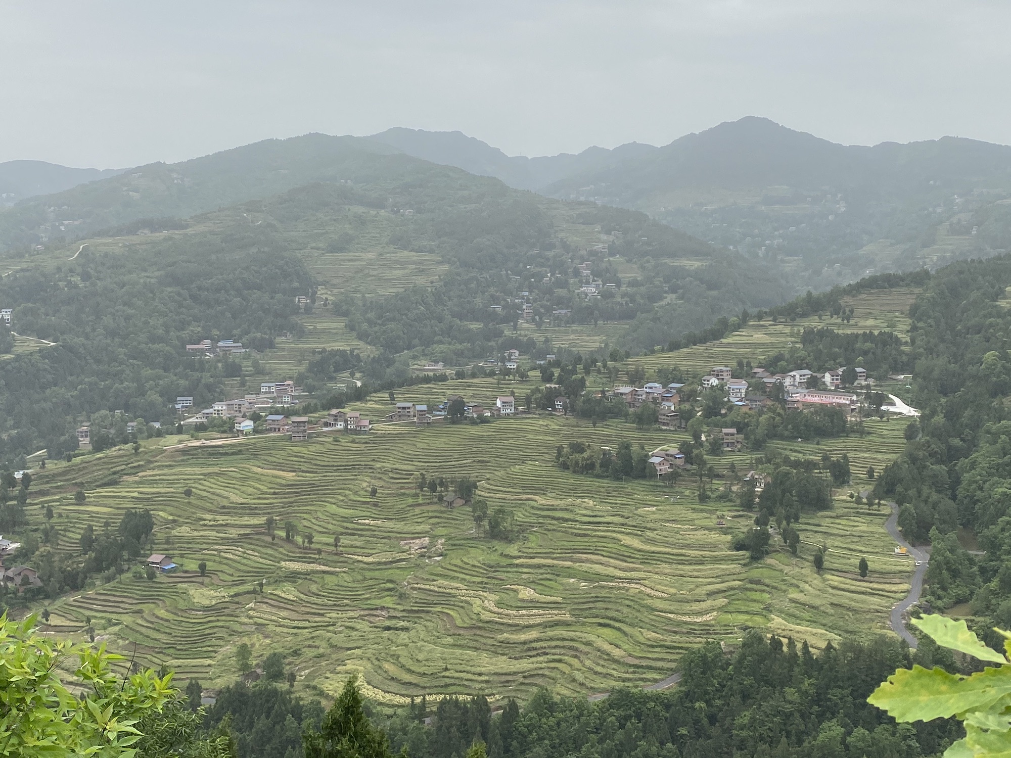 马渡关石林景区旅行图片 2