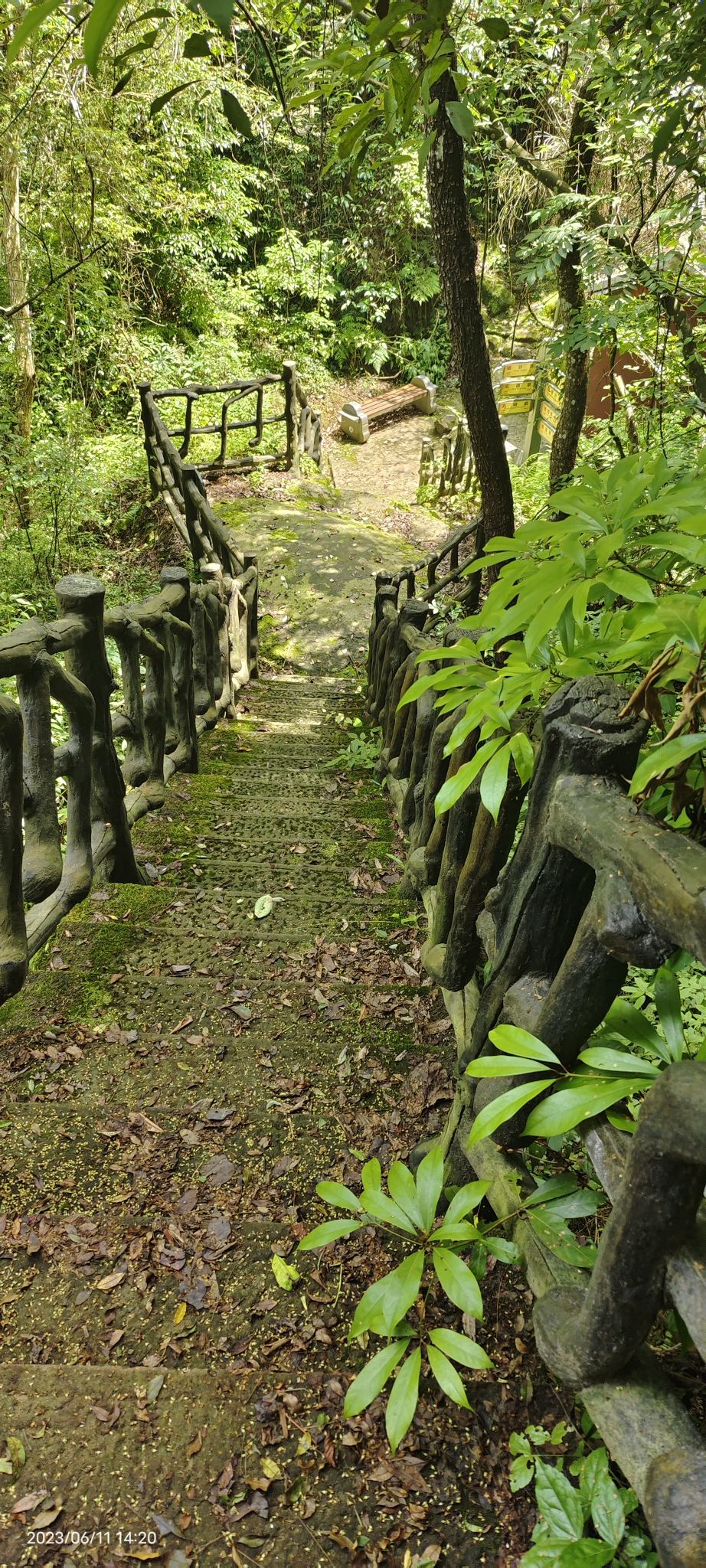 马渡关石林景区旅行图片 2