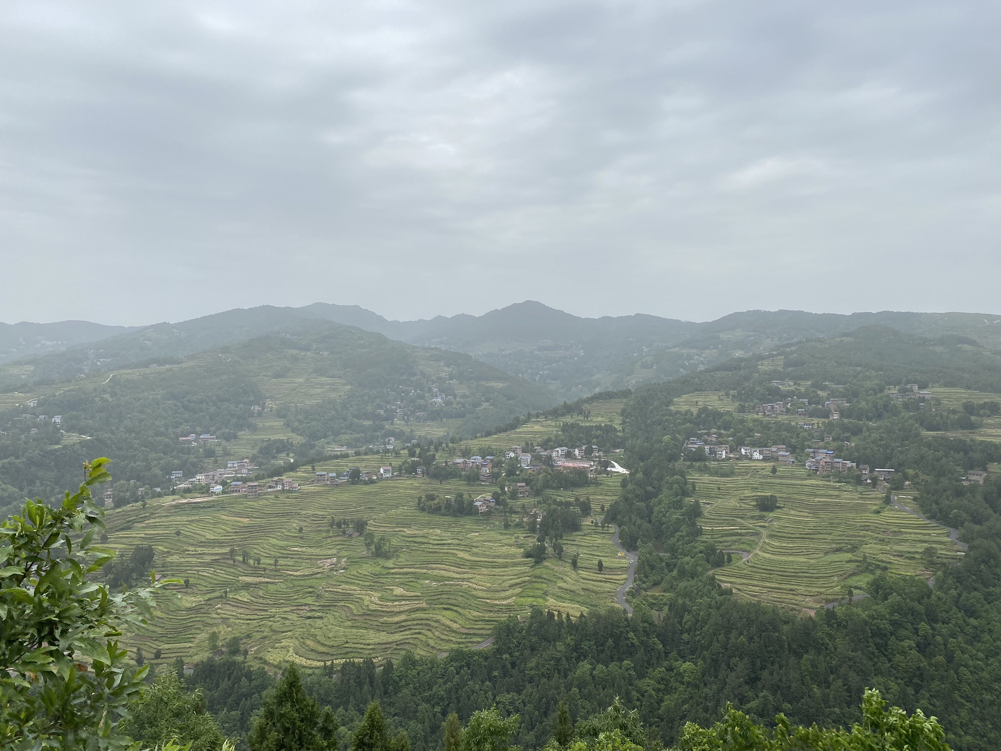 马渡关石林景区旅行图片 1