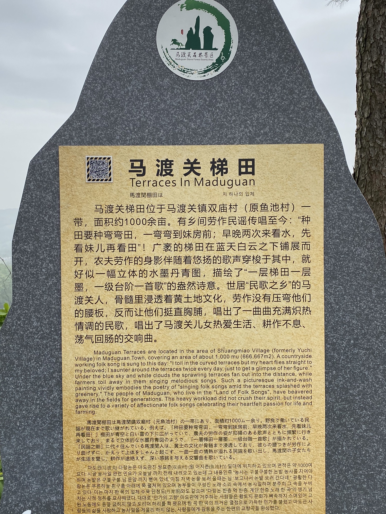 马渡关石林景区旅行图片 3