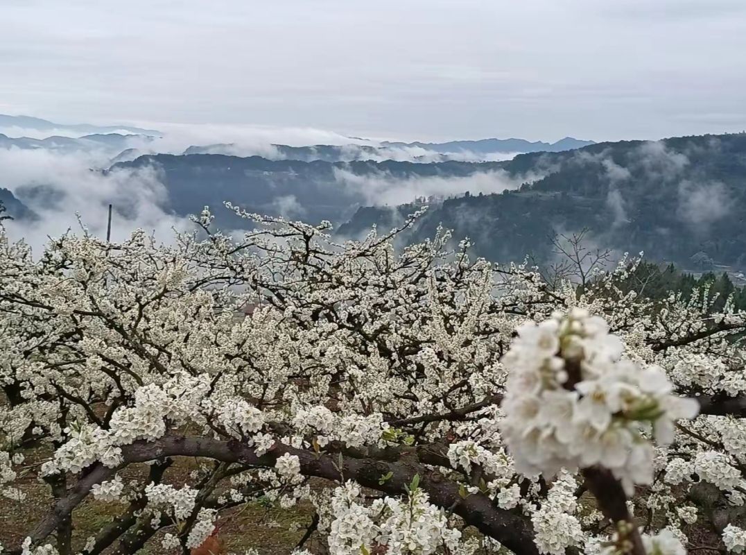 庙安花果山景区旅行图片 3