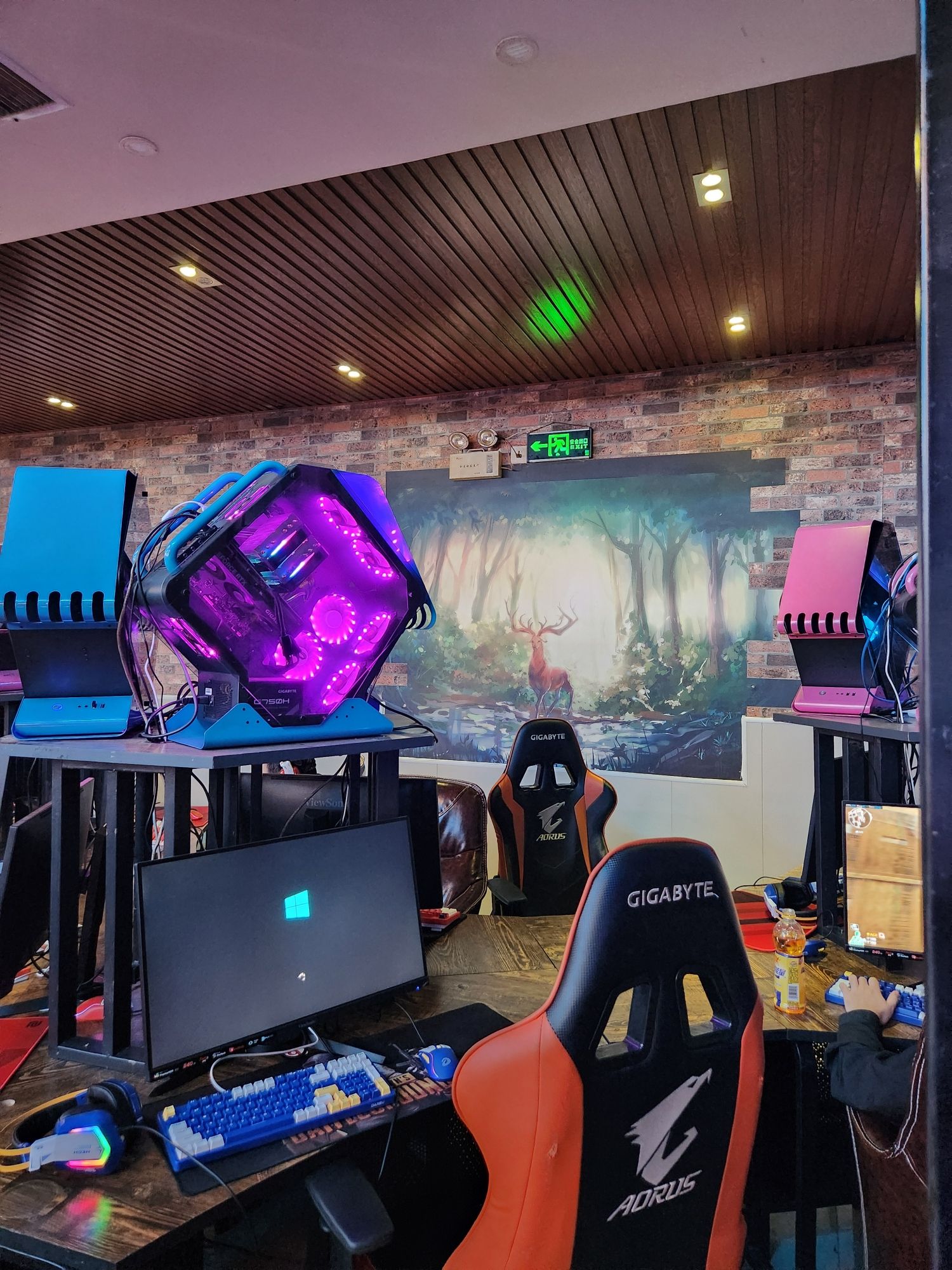三只虫网吧