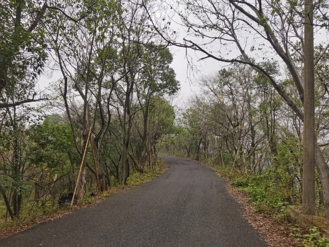 竹航山公园旅行图片 2