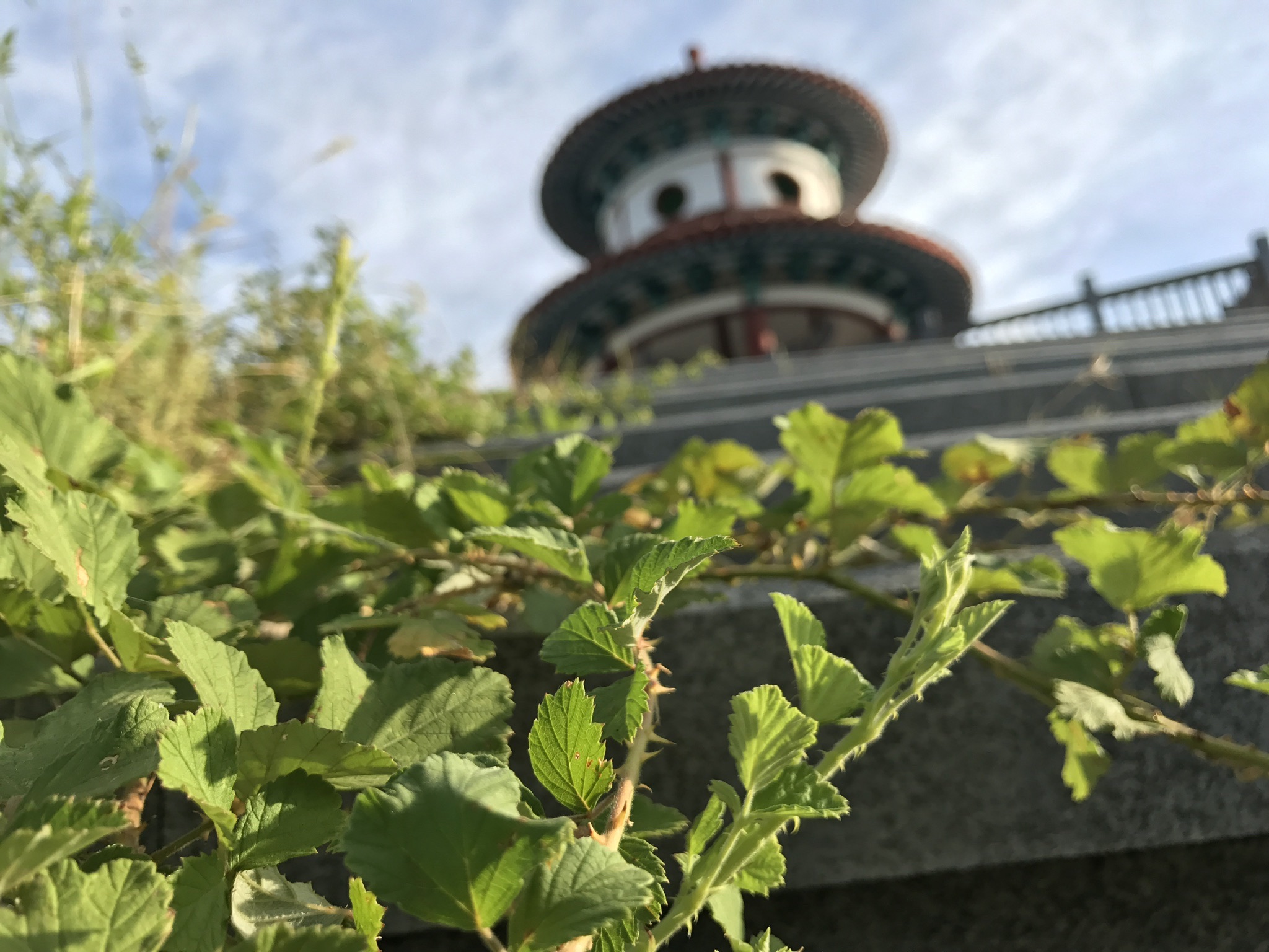 竹航山公园旅行图片 1