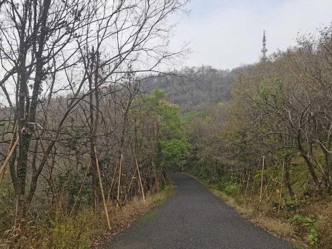 竹航山公园旅行图片 3