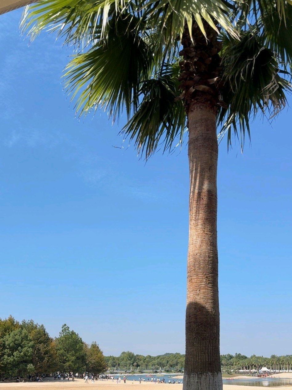 萍乡仙凤三宝景区旅行图片 1
