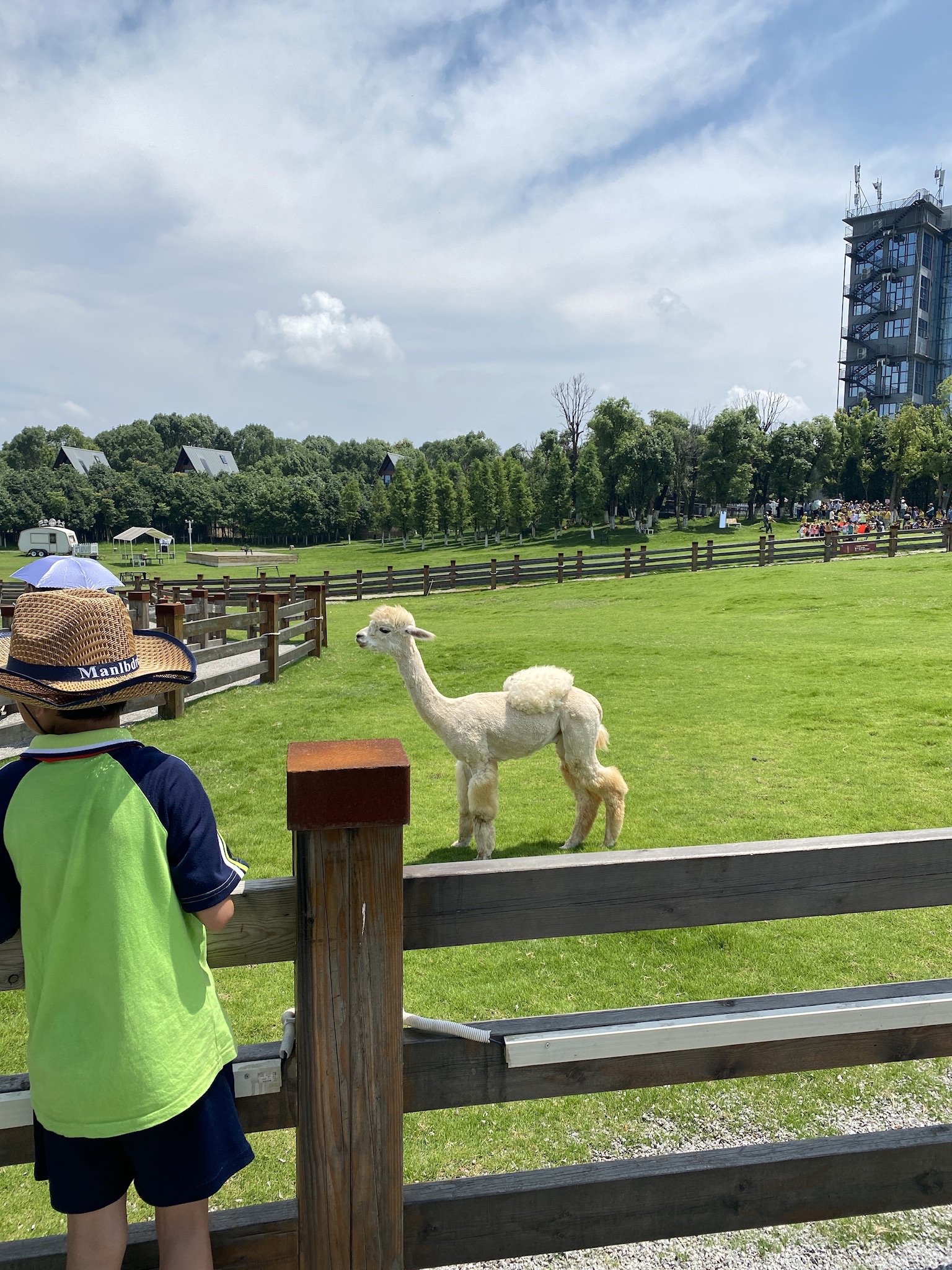萍乡仙凤三宝景区旅行图片 2