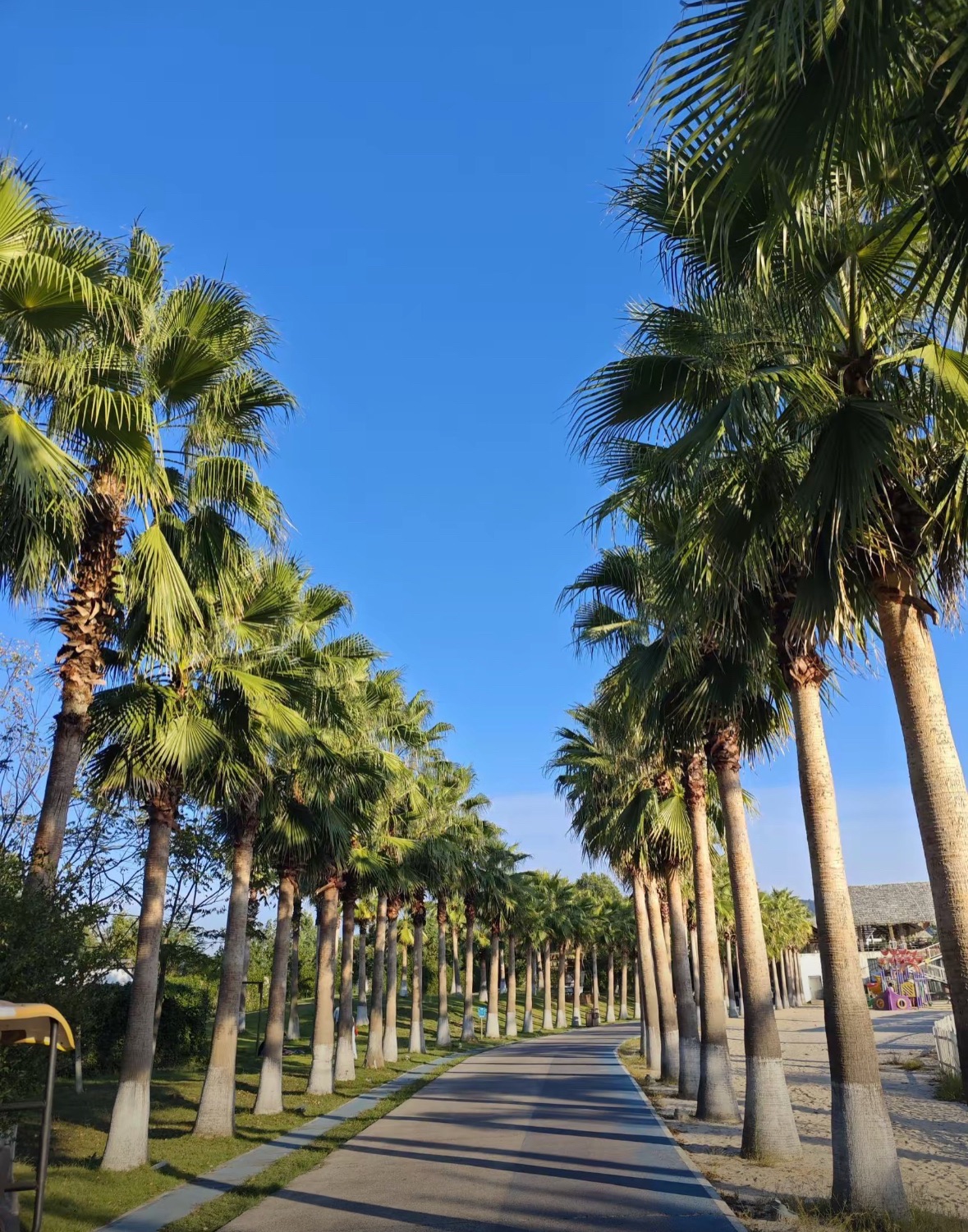 萍乡仙凤三宝景区旅行图片 3