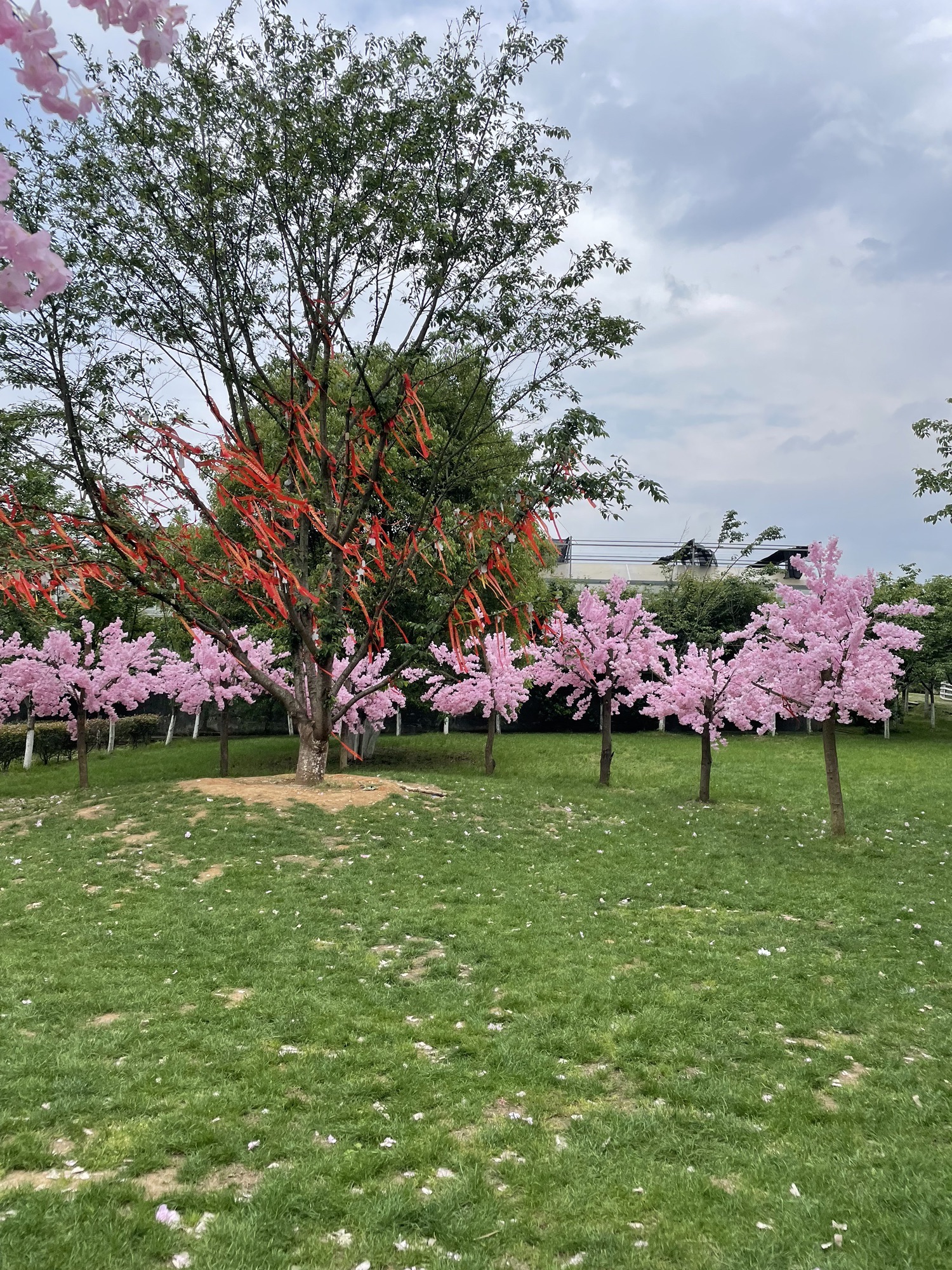 萍乡仙凤三宝景区旅行图片 2