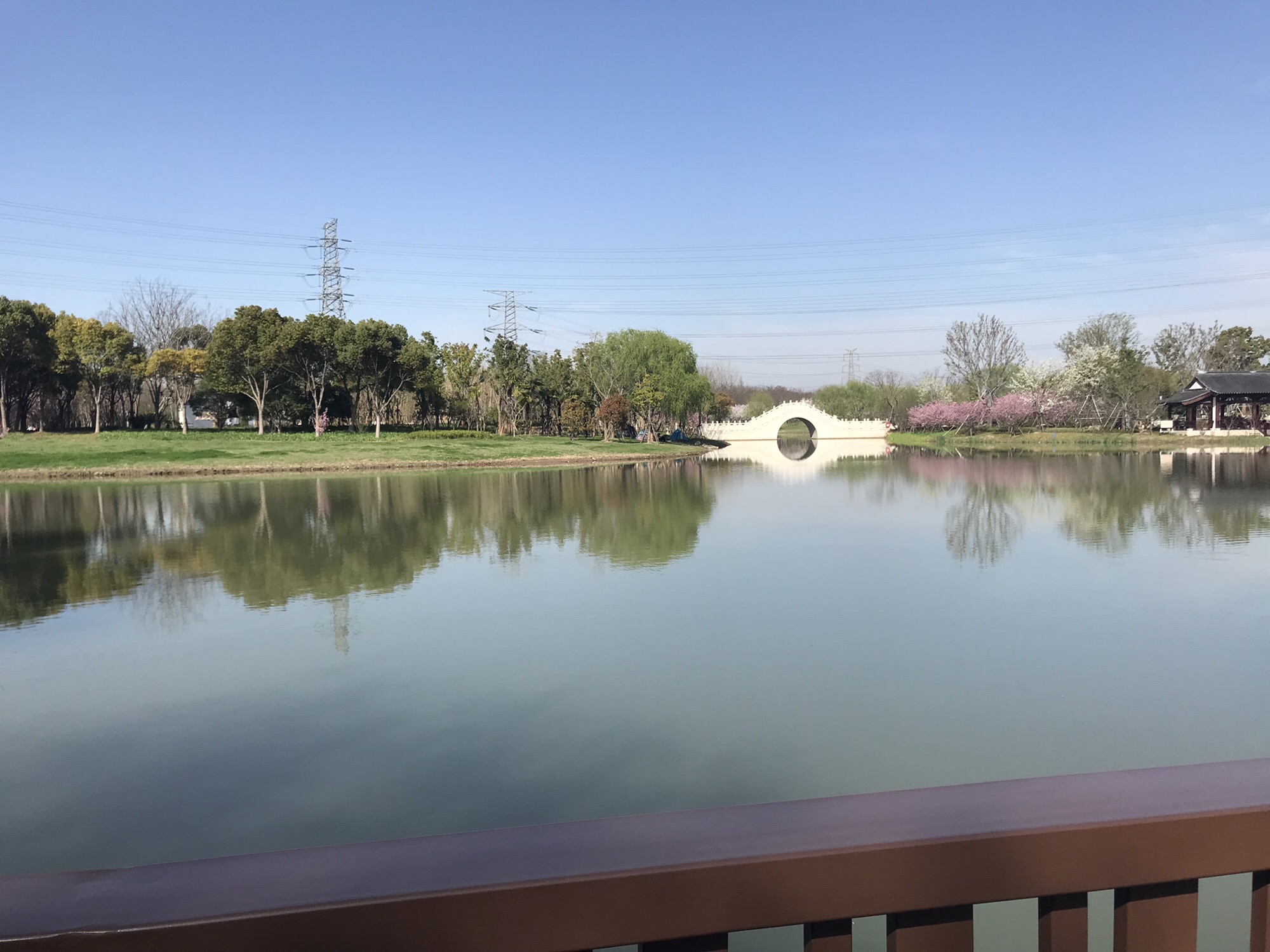 沔青公园旅行图片 3