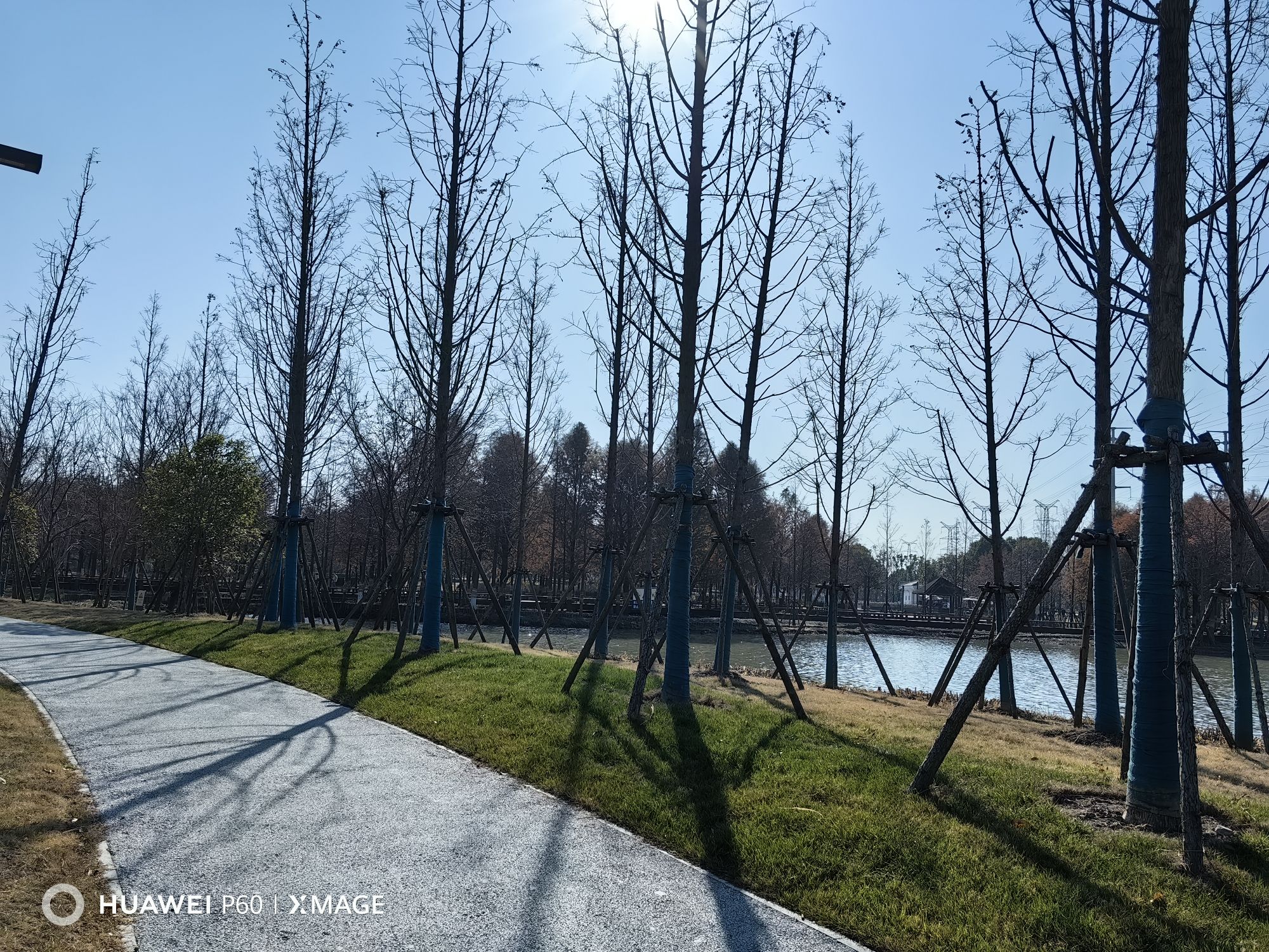 沔青公园旅行图片 2