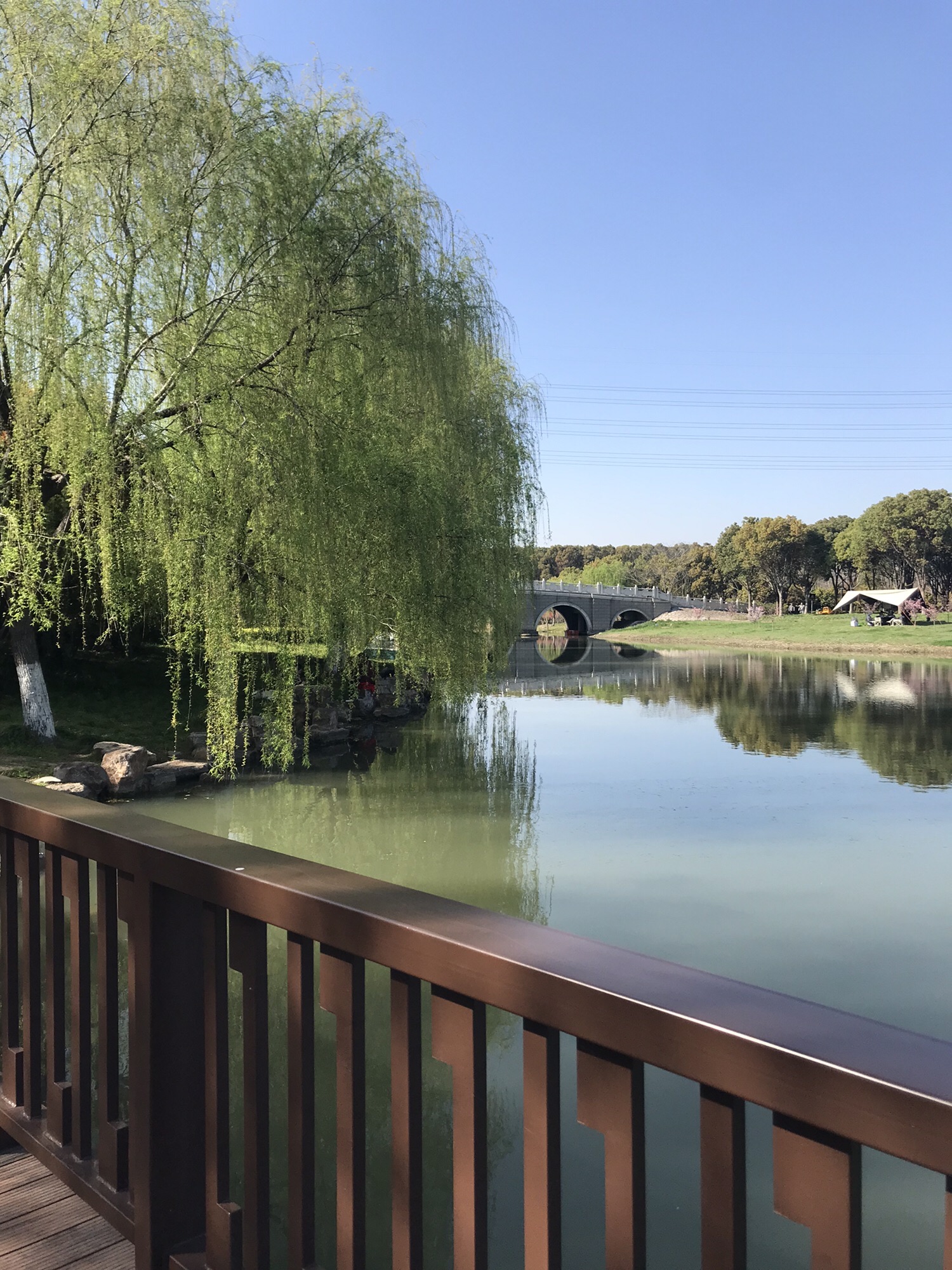 沔青公园旅行图片 1