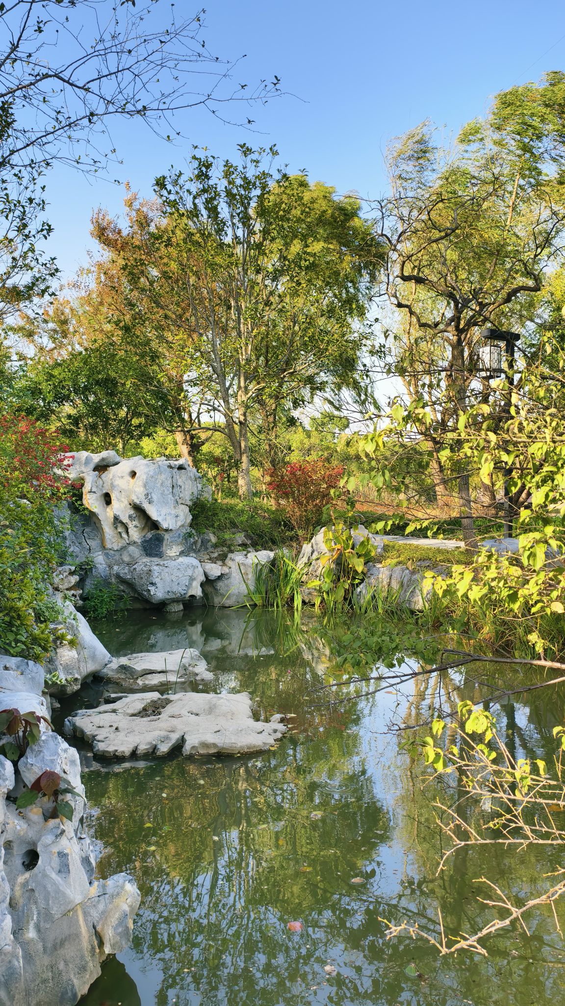 沔青公园旅行图片 3